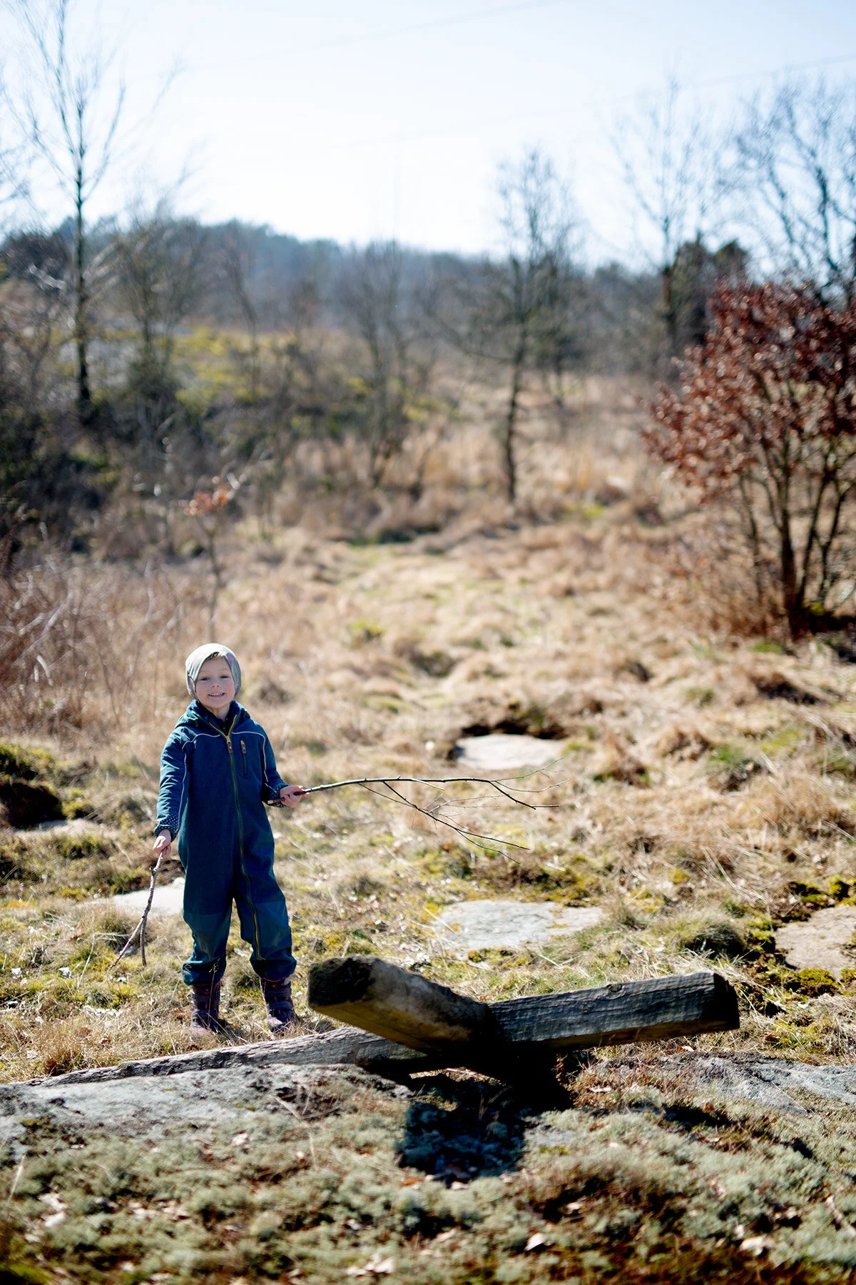 blogg-200326boldpestkyrkogarden5.jpg