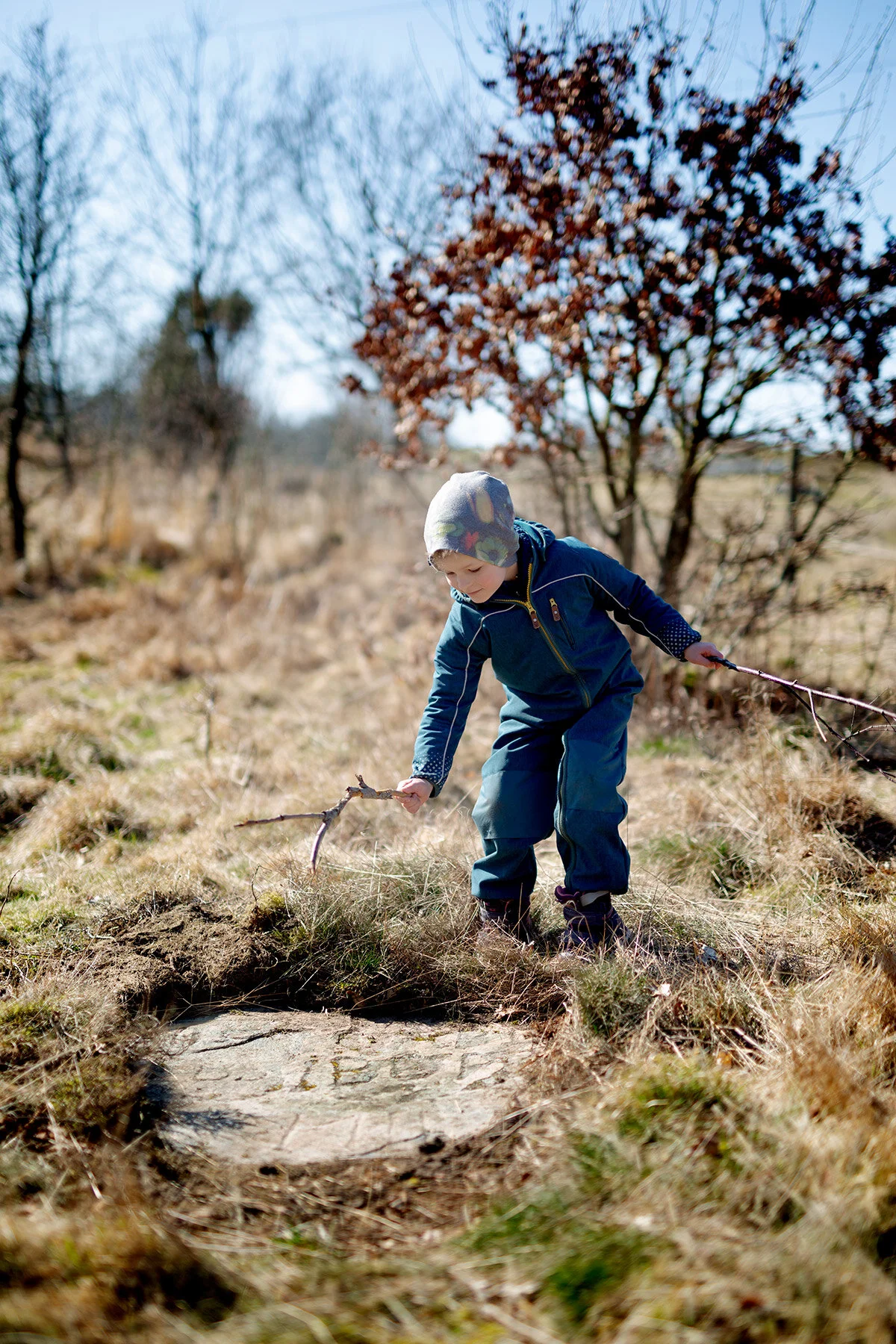 blogg-200326boldpestkyrkogarden10.jpg
