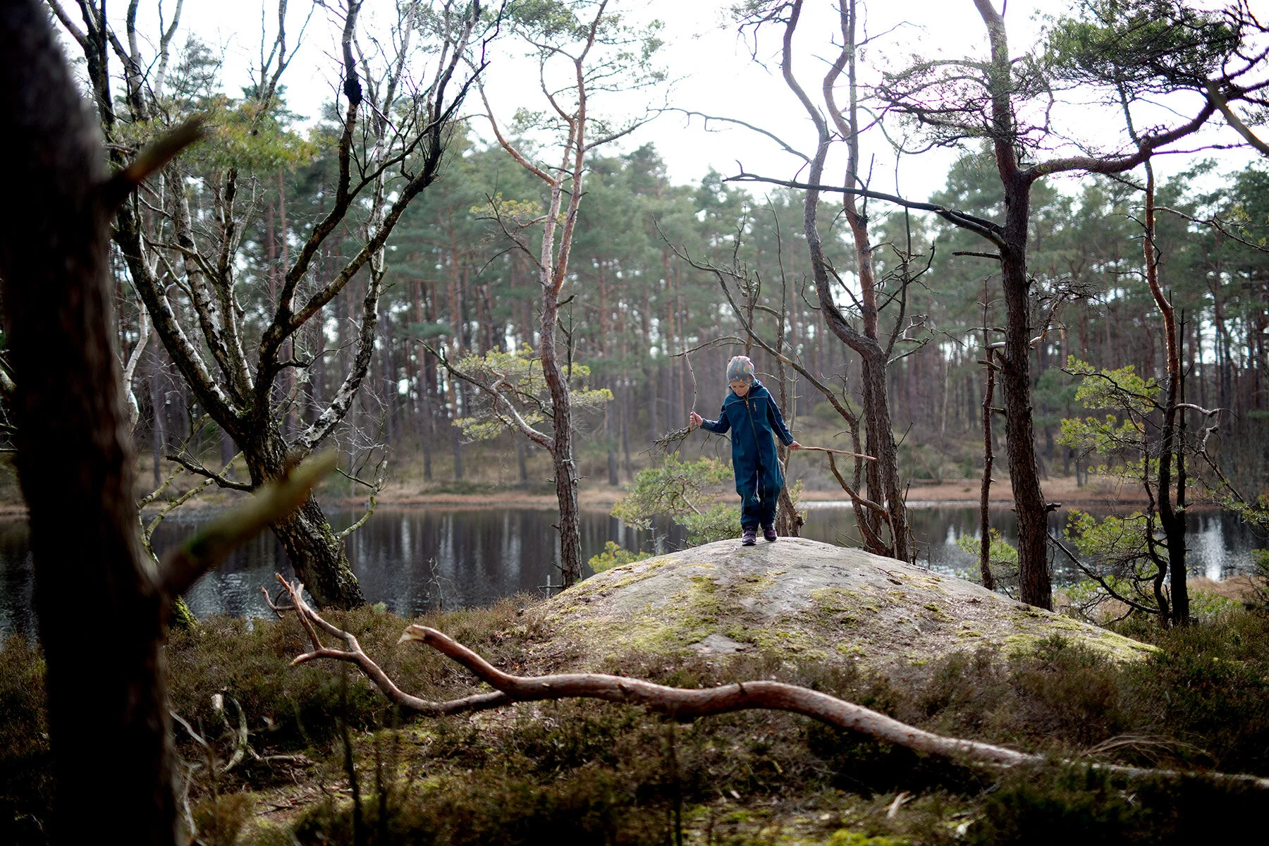 blogg-200331skogenmedbertil16.jpg