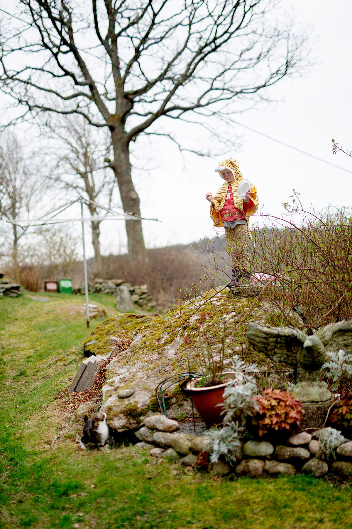 blogg-200411paskambjornhasslet10.jpg