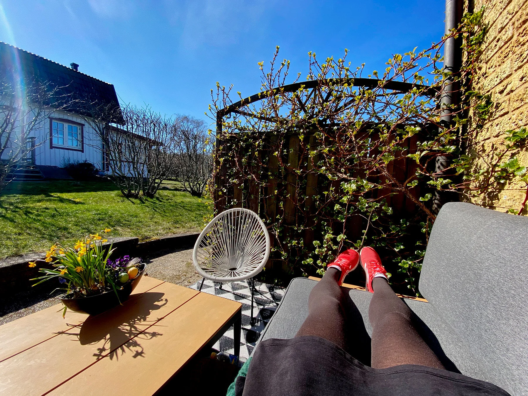 Sol på näsan
