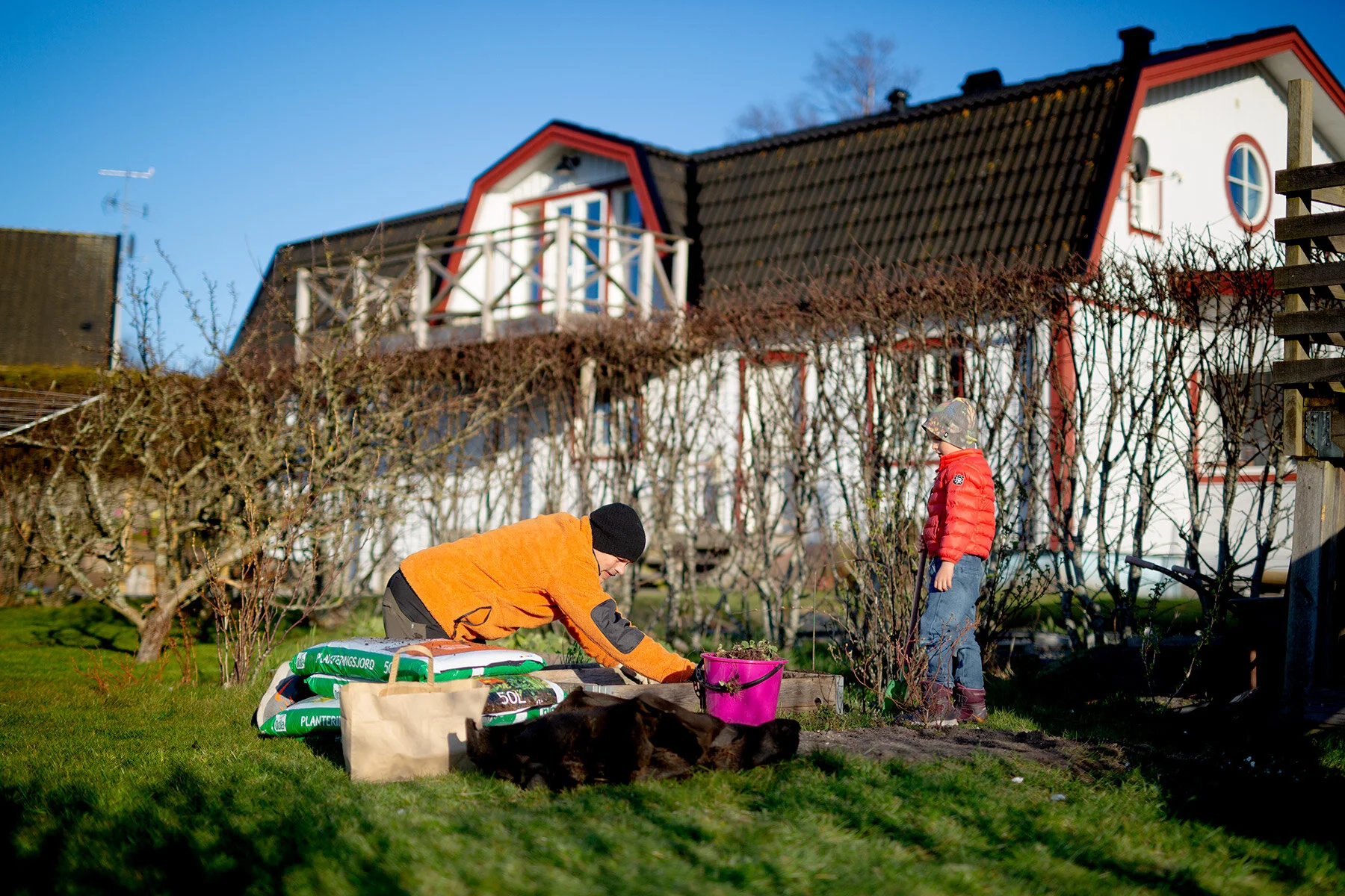 blogg-200416planterajordgubbar3.jpg