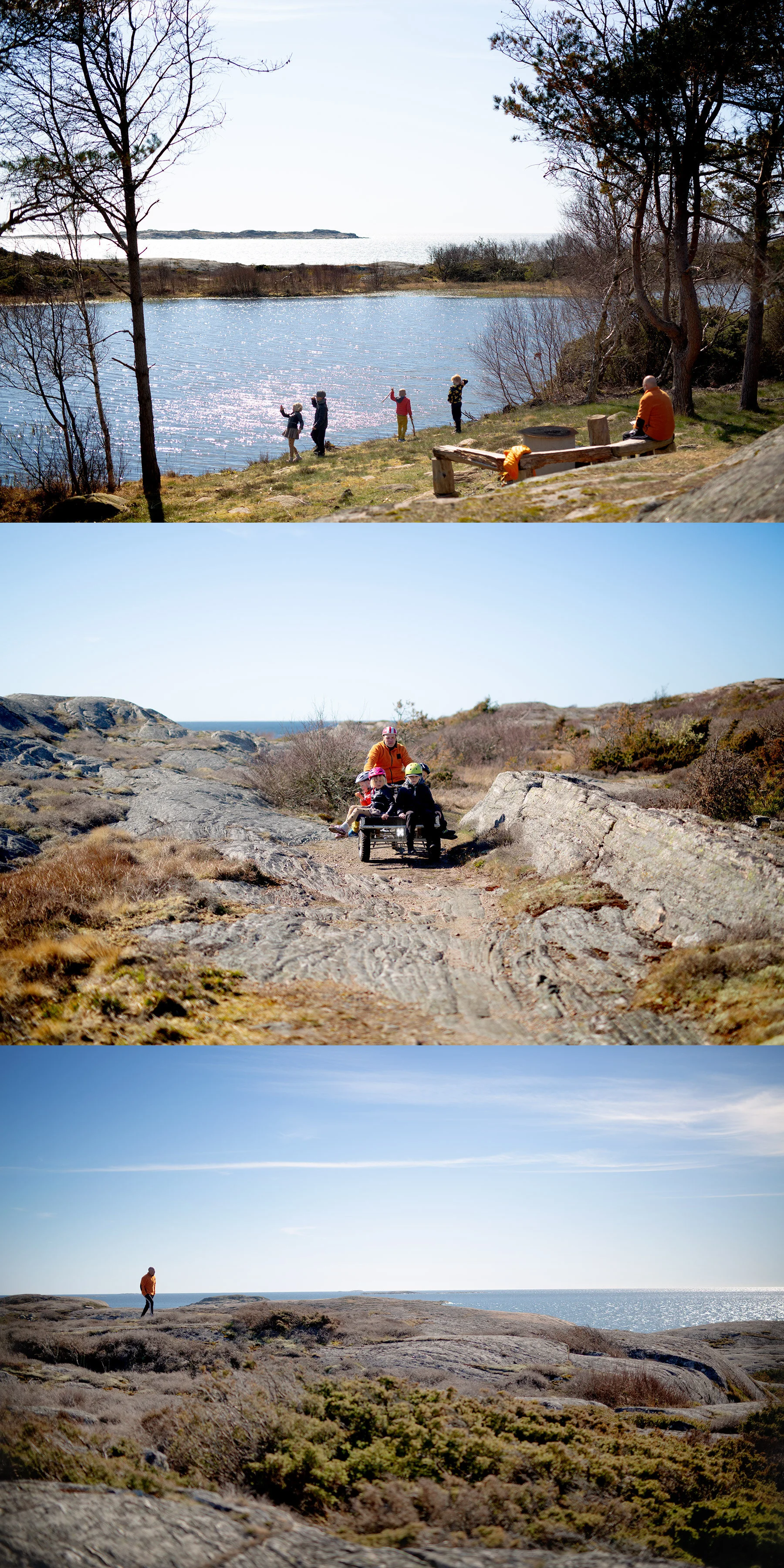 Näckrosdammen