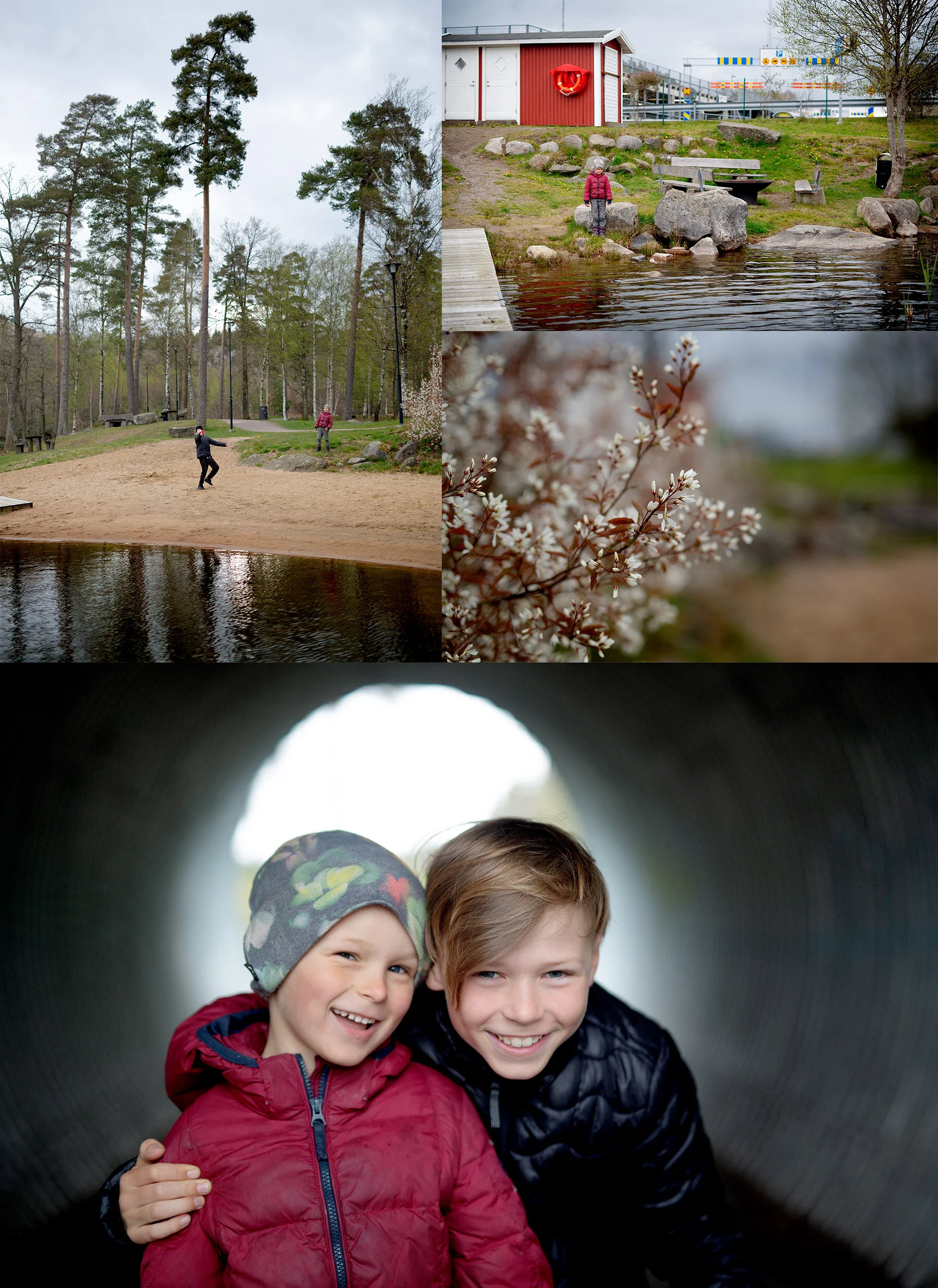 Musasjön