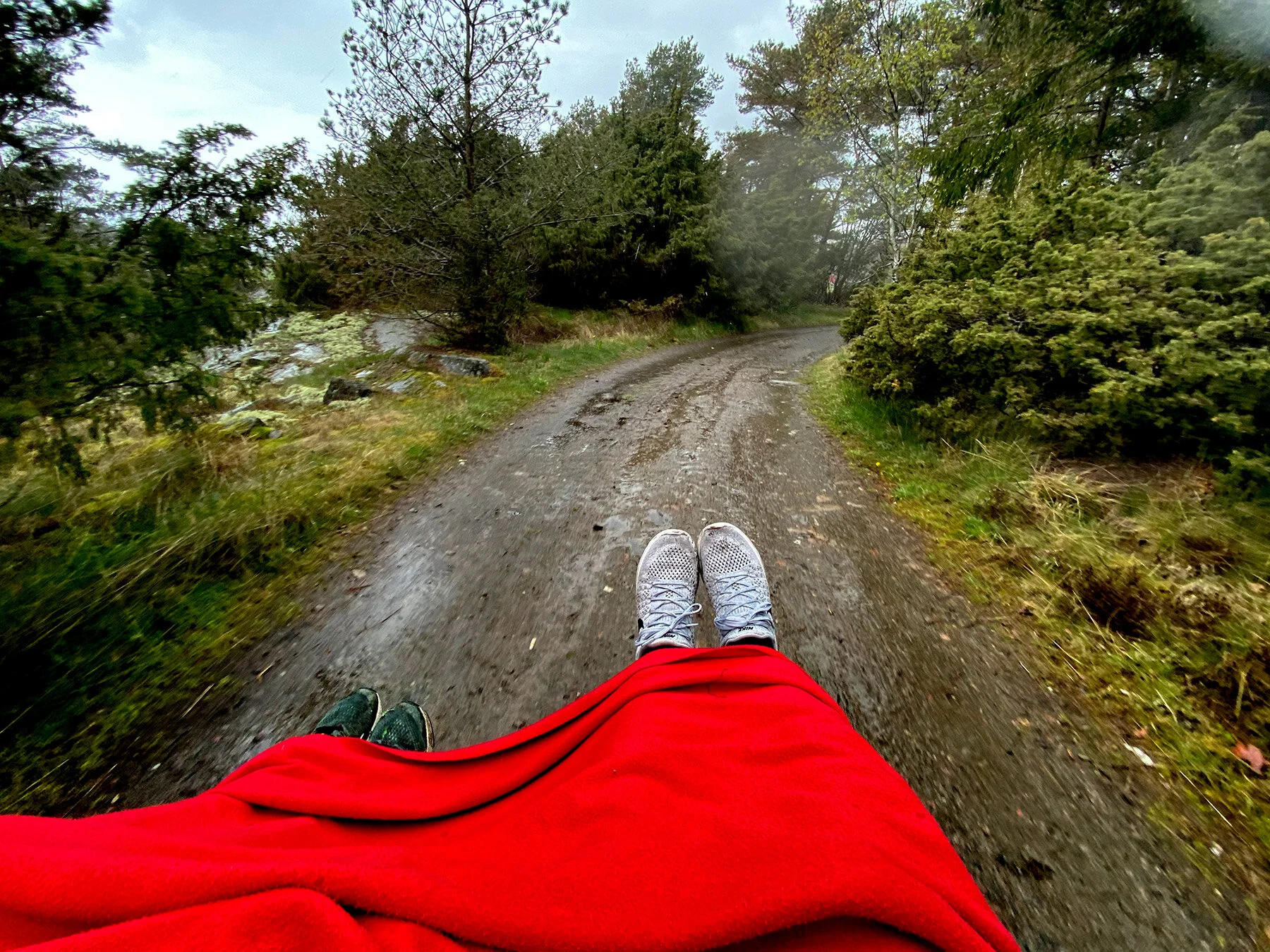 blogg-200502flakaniregn1.jpg