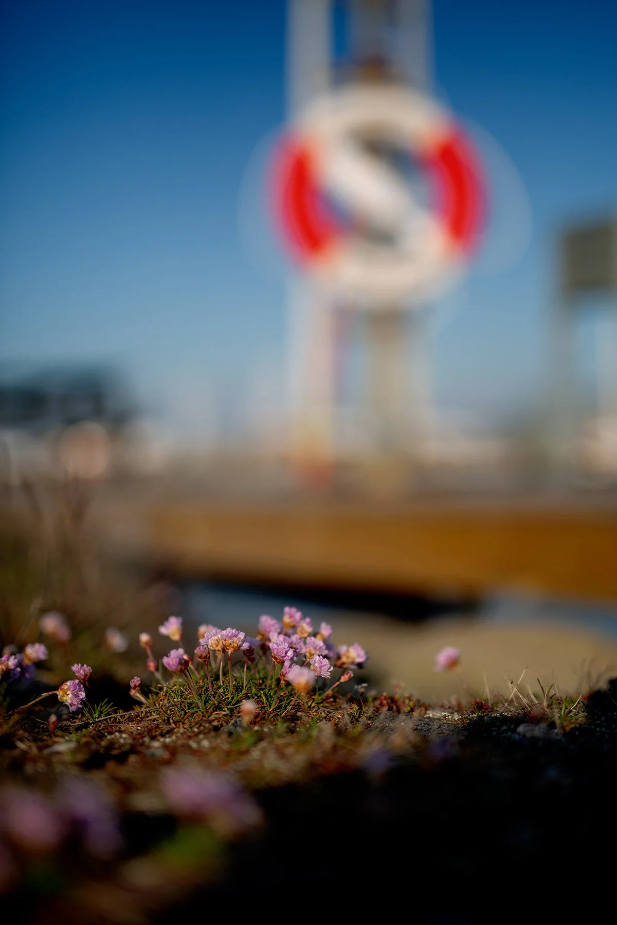 blogg-200508sovaibatenkvall7.jpg