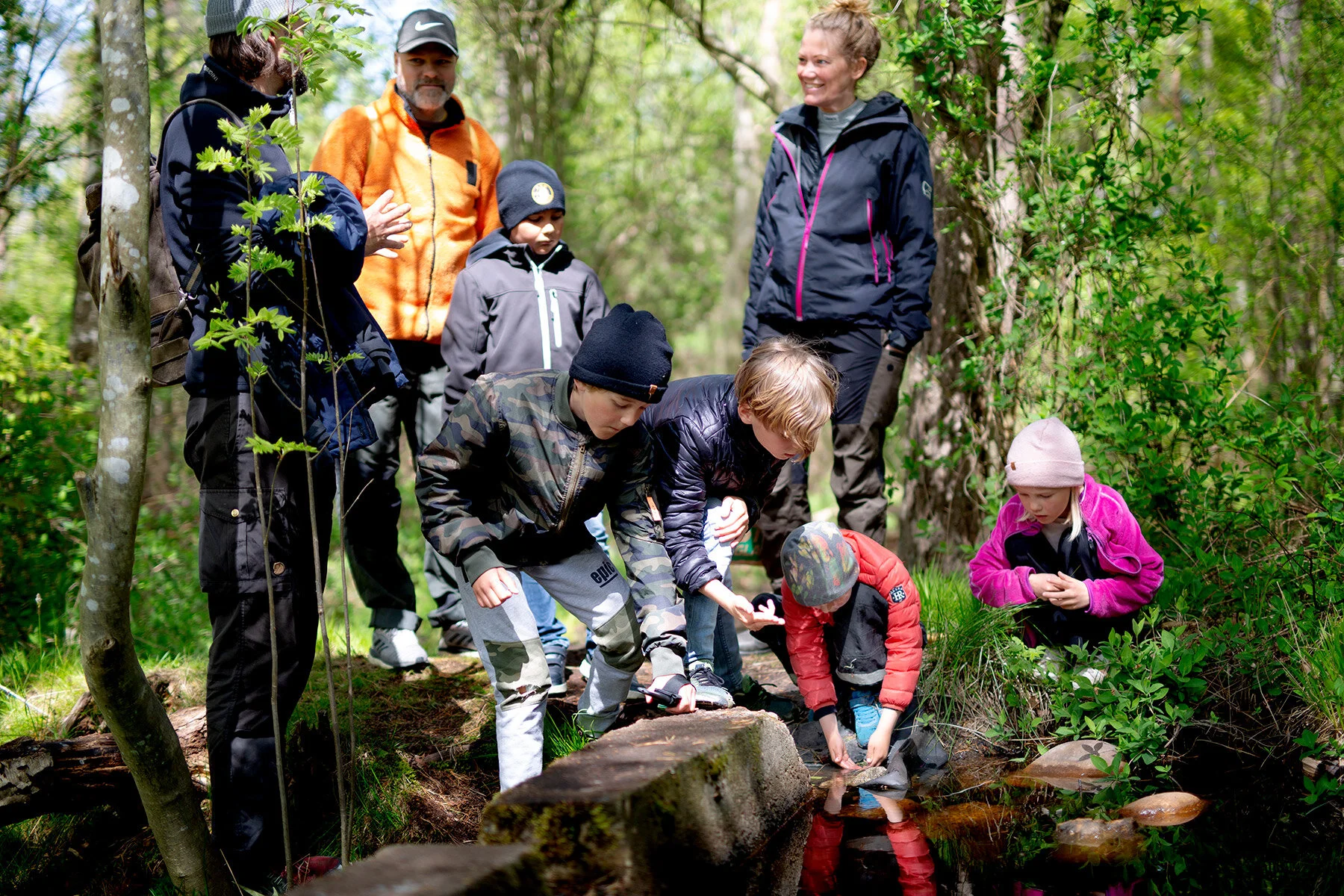 blogg-200517skogenmednordsvahn3.jpg