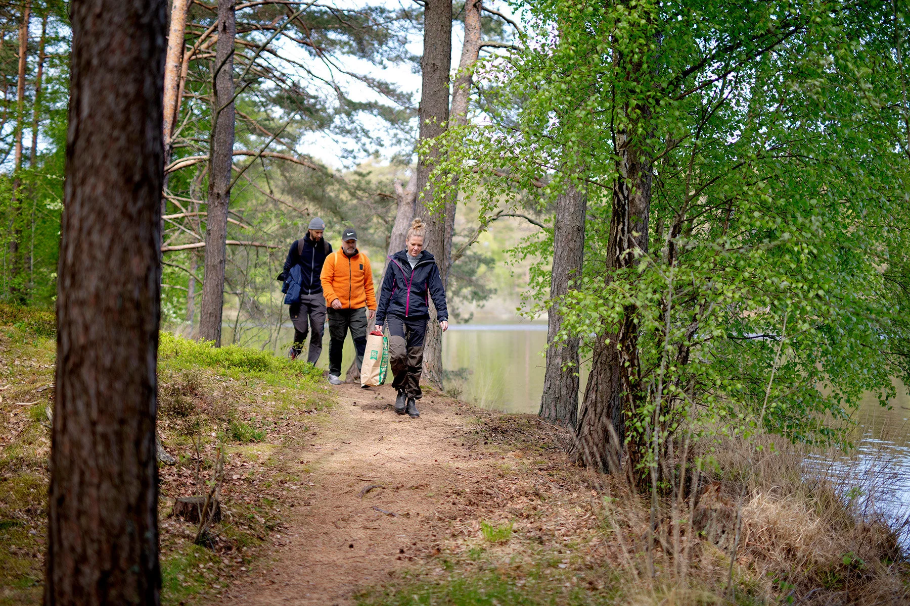 blogg-200517skogenmednordsvahn5.jpg