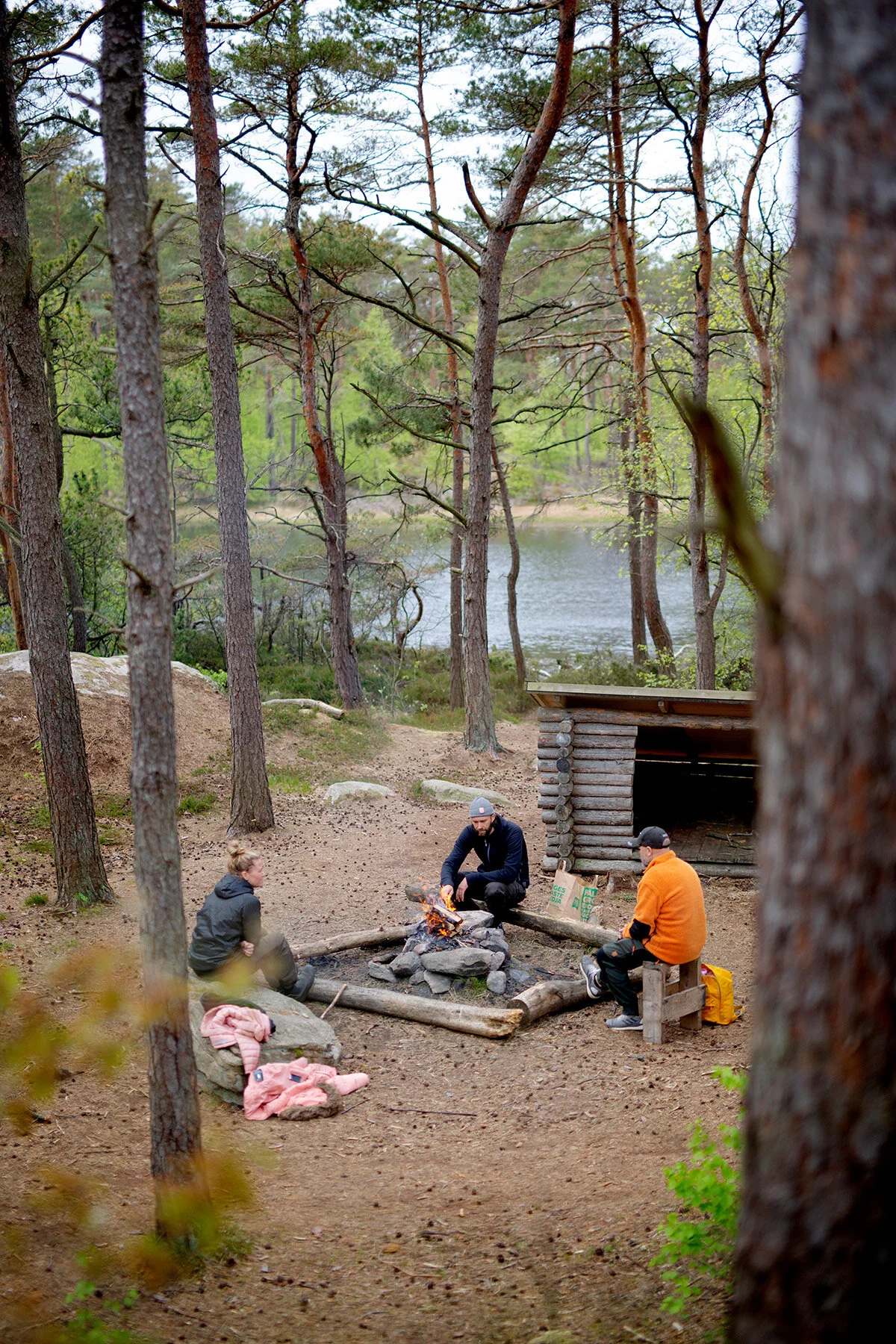 blogg-200517skogenmednordsvahn14.jpg
