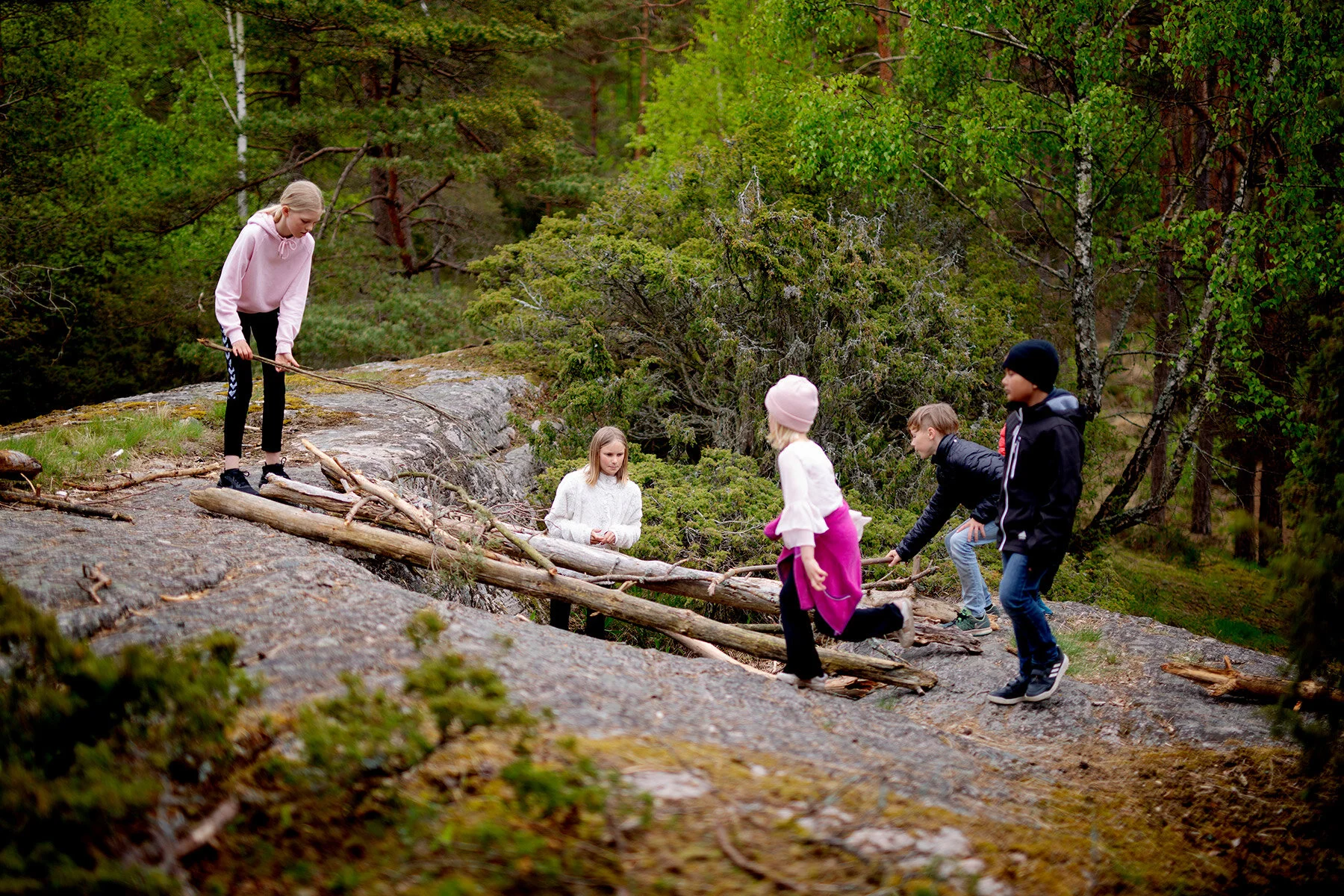 blogg-200517skogenmednordsvahn15.jpg
