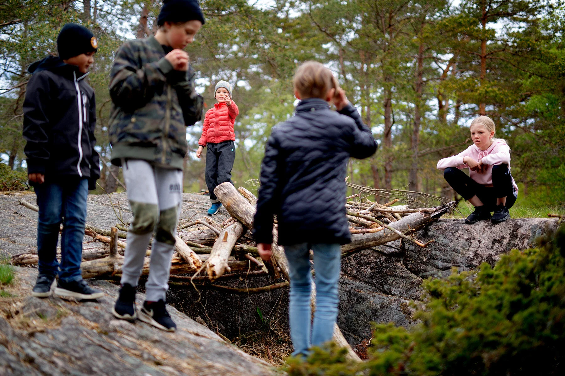 blogg-200517skogenmednordsvahn18.jpg