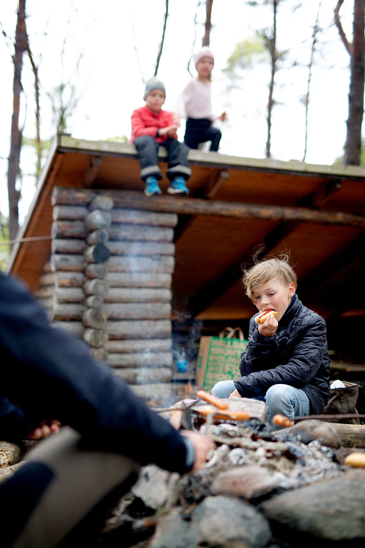 blogg-200517skogenmednordsvahn23.jpg