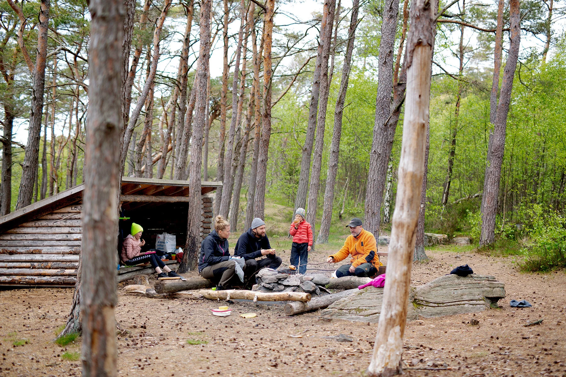 blogg-200517skogenmednordsvahn22.jpg