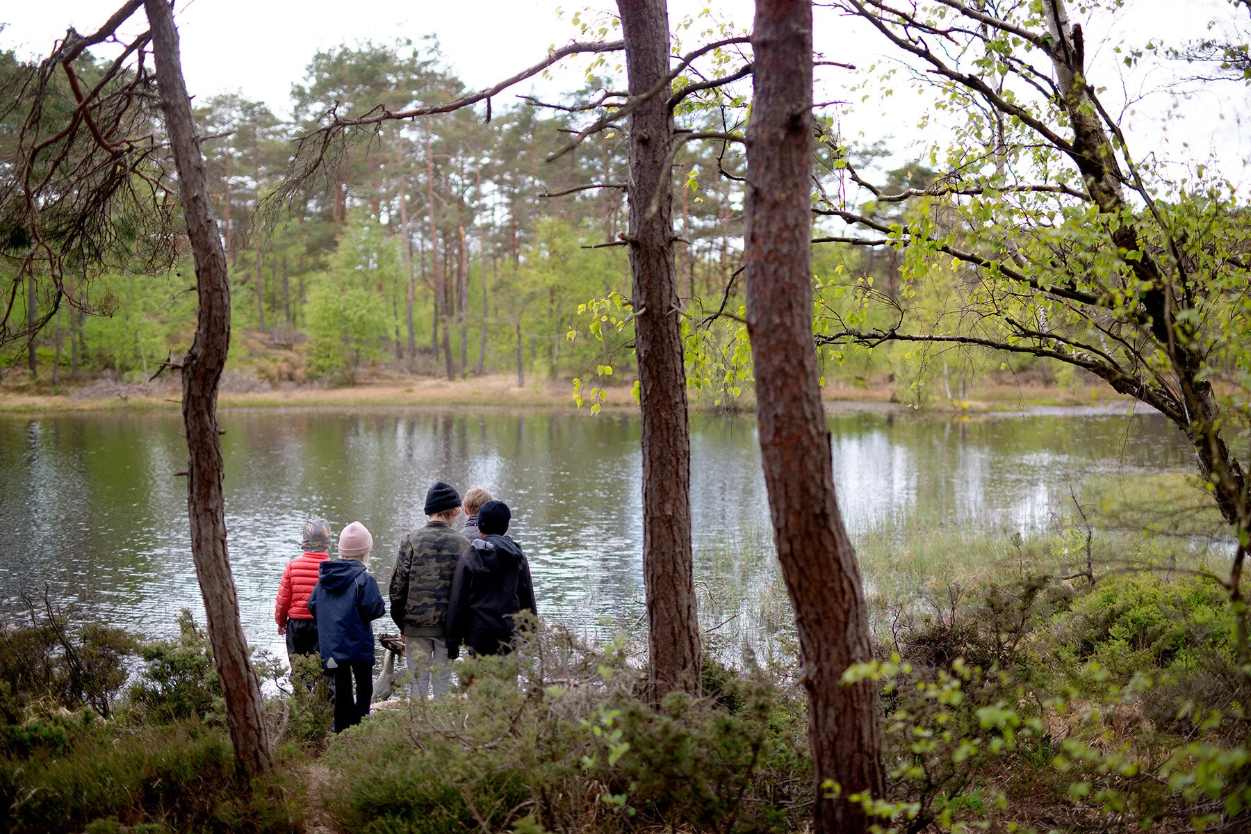 blogg-200517skogenmednordsvahn26.jpg