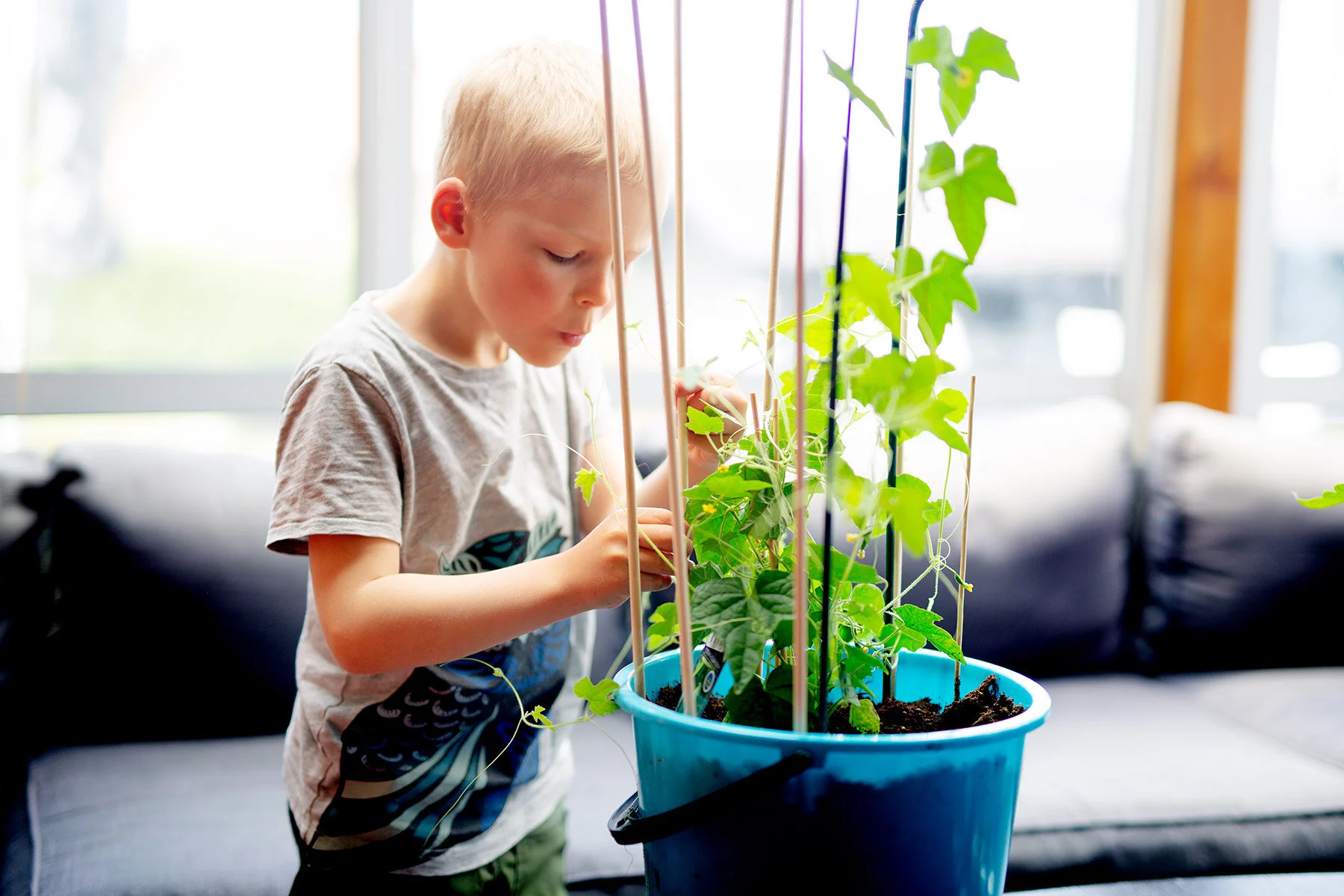 blogg-200527bertilsblompinnar1.jpg