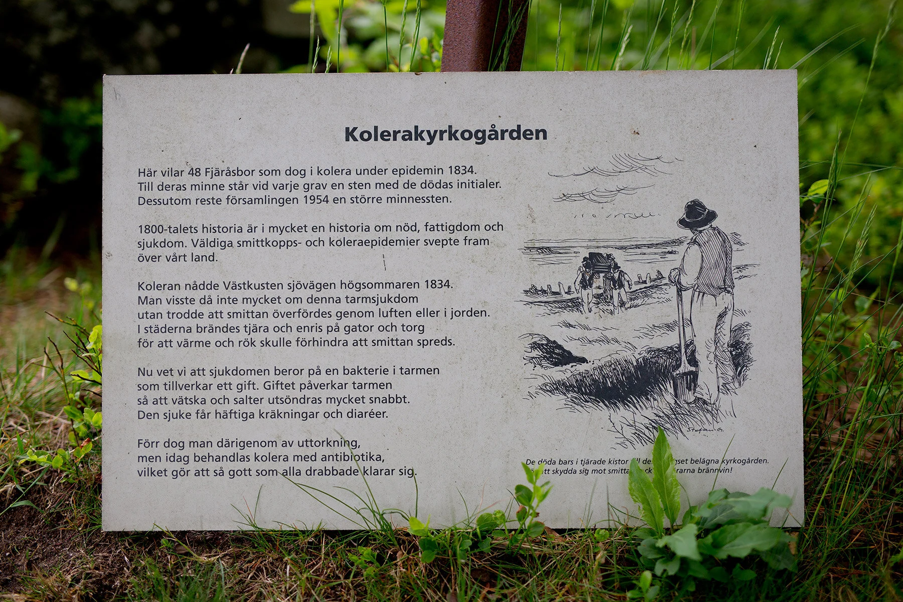 blogg-200527bertil6arfjarasbracka22.jpg