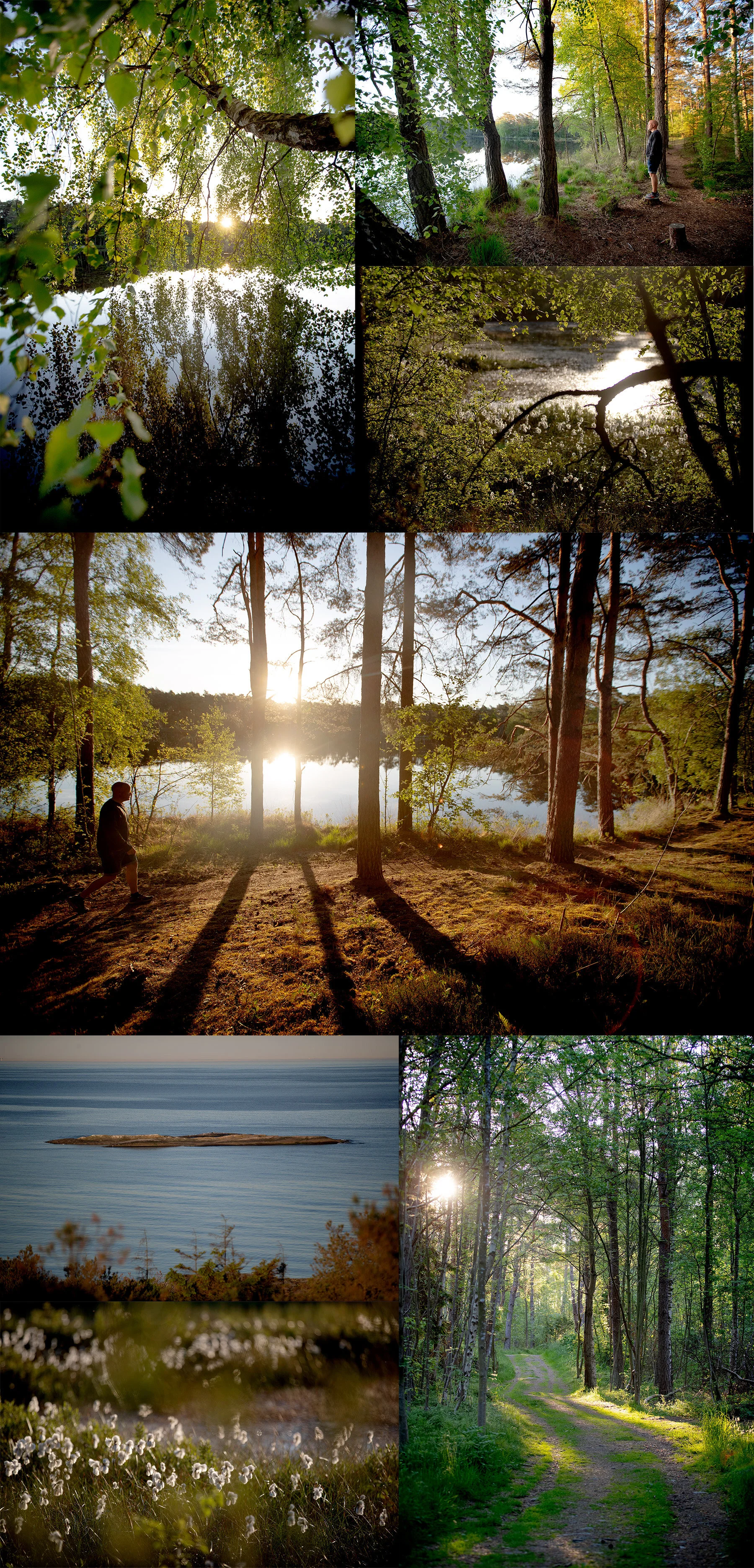 Kroks mosse 04:55