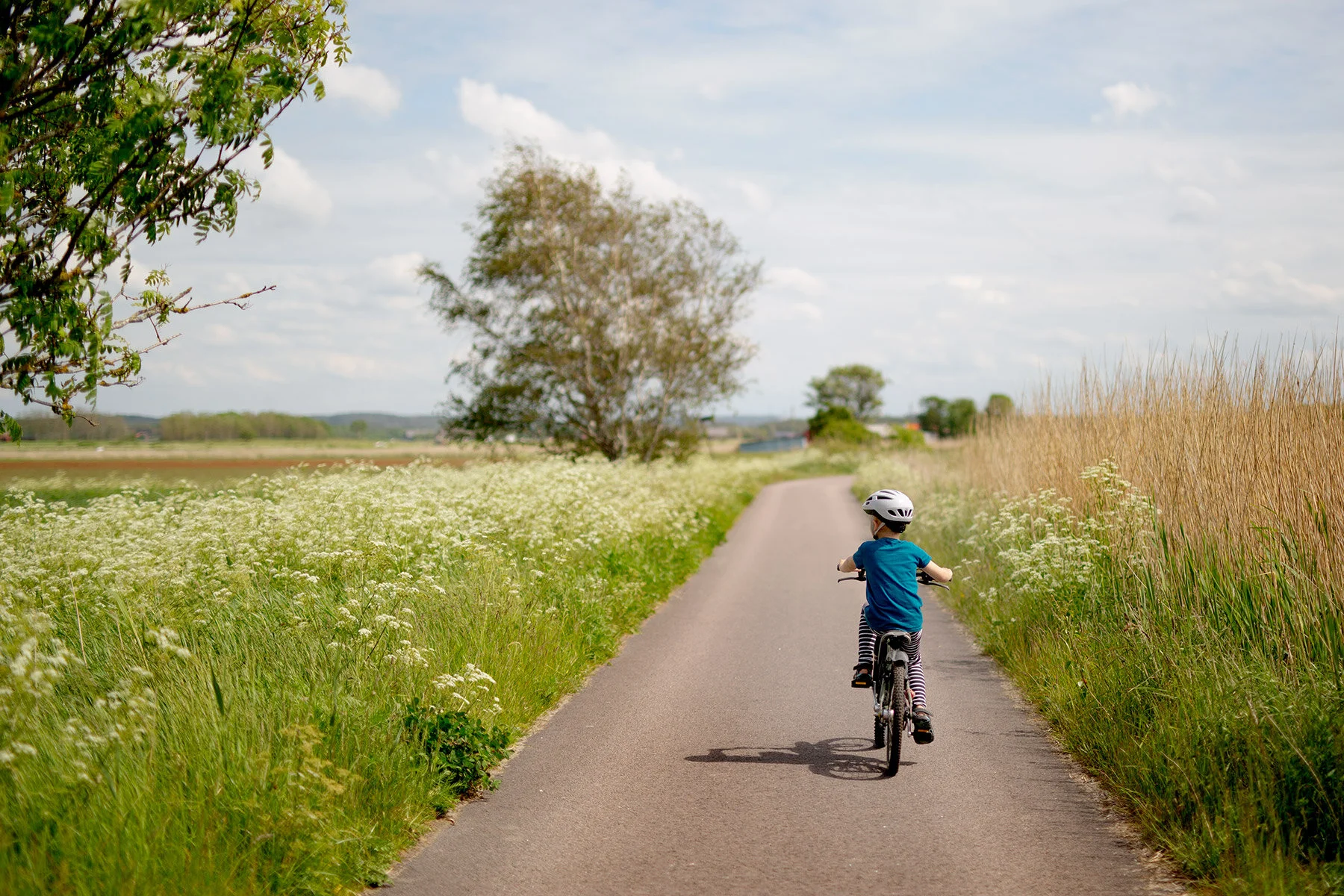 blogg-200607blomcykeltur3.jpg
