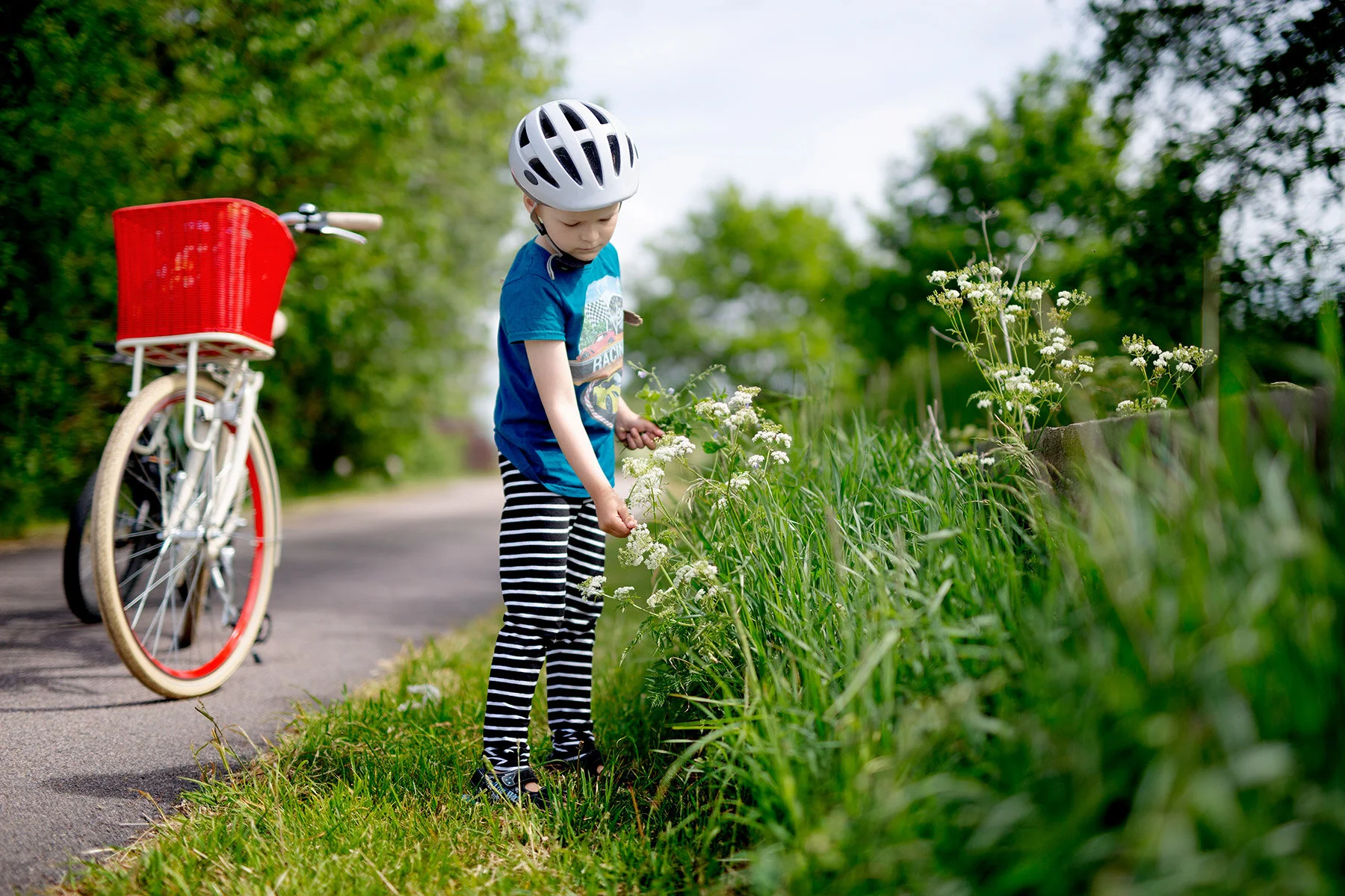 blogg-200607blomcykeltur6.jpg