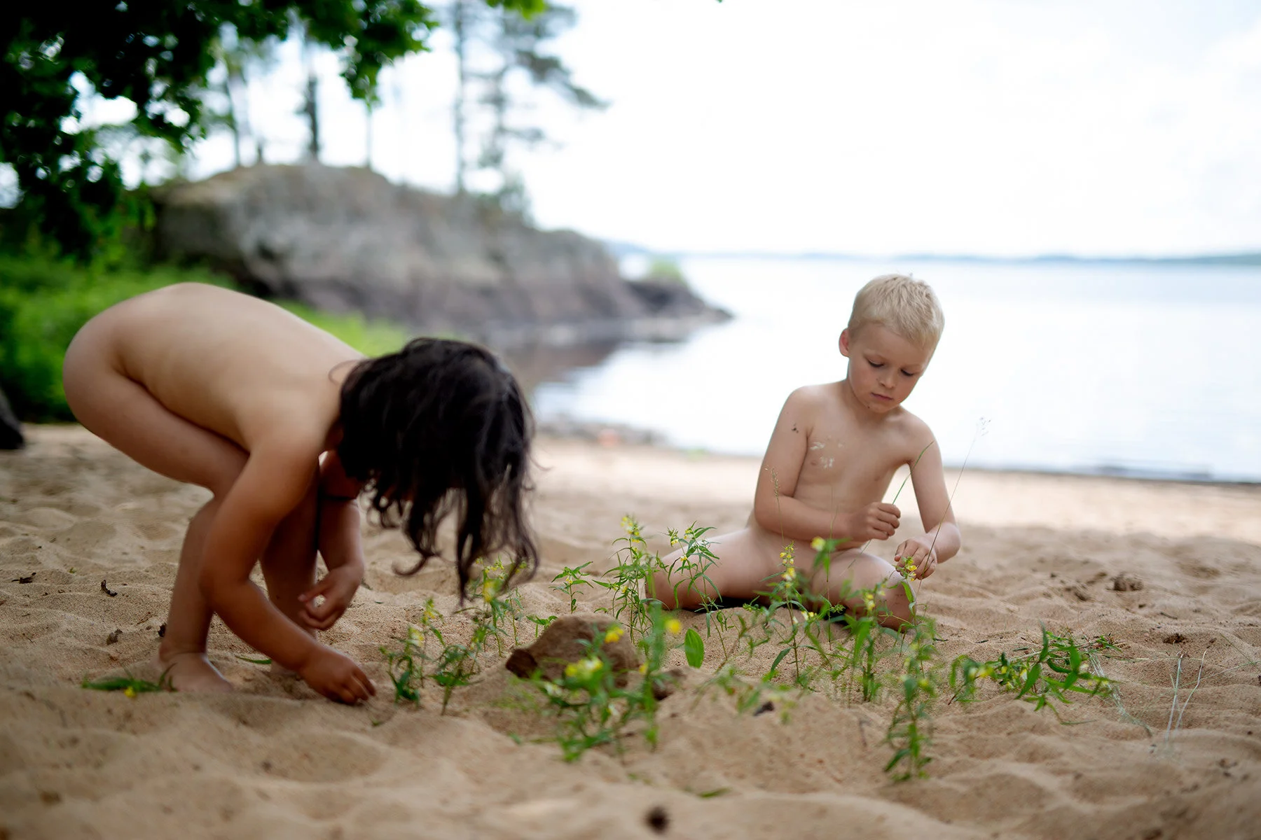 blogg-200618sistamorgonenkalv11.jpg