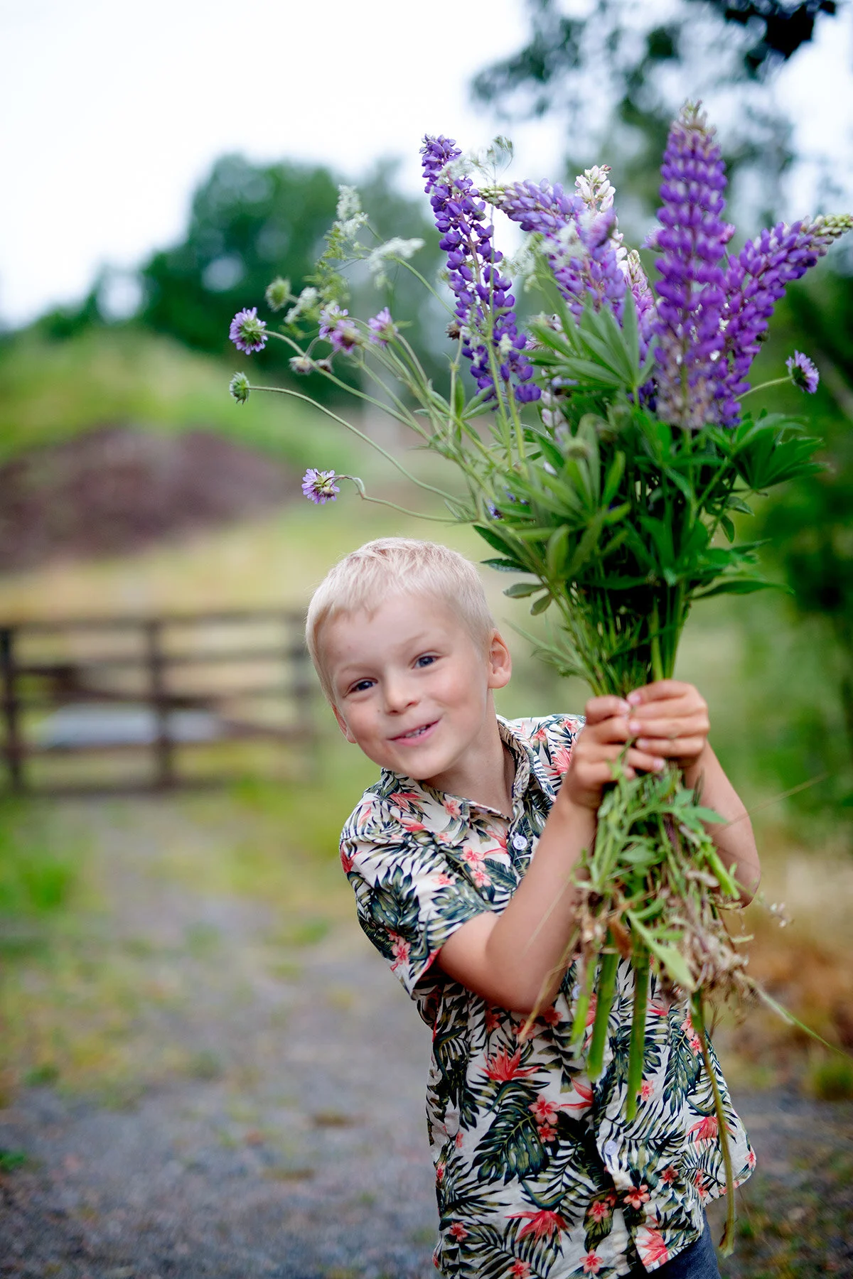 blogg-200619midsommarblommor1.jpg