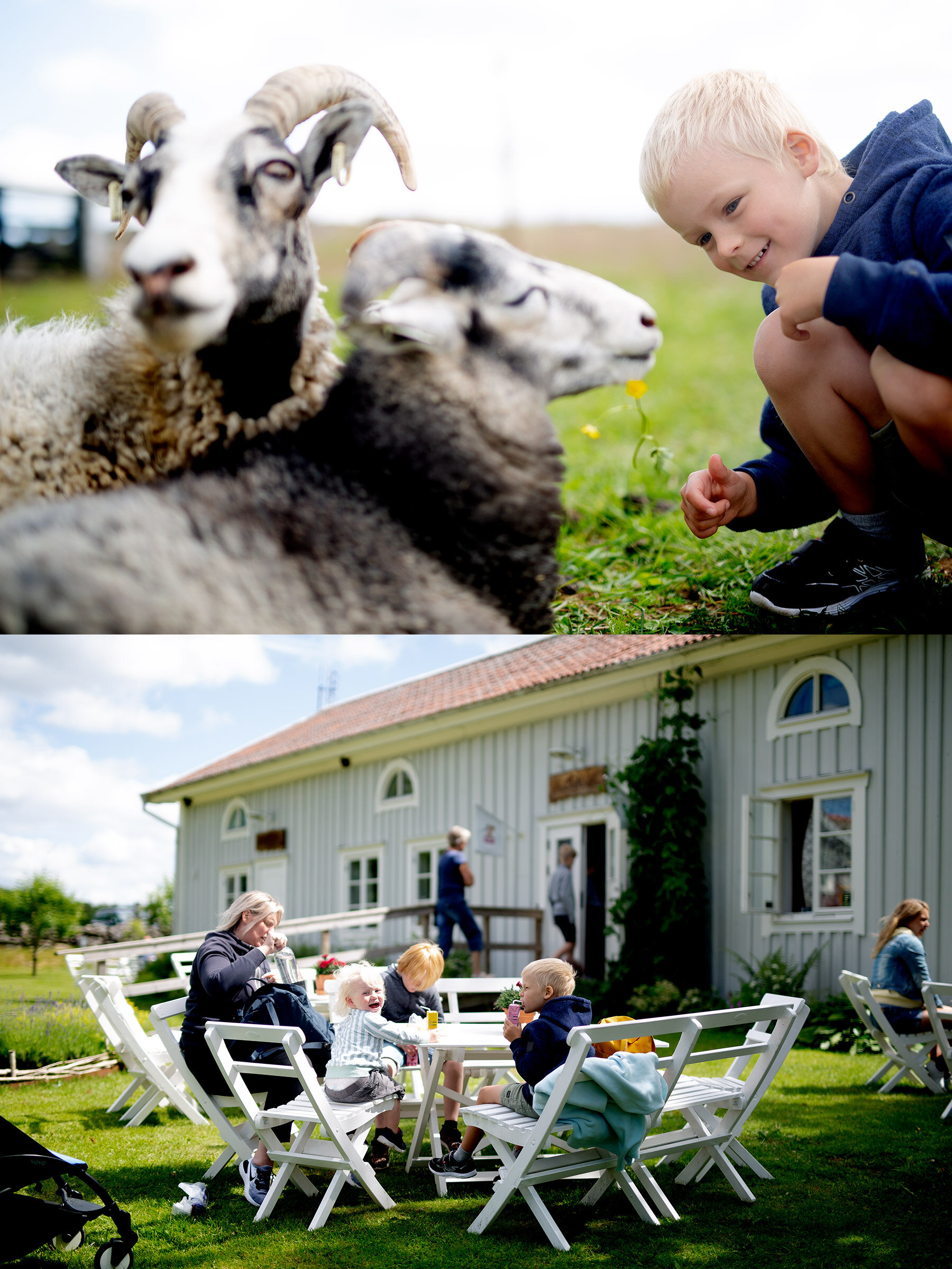 Stättared