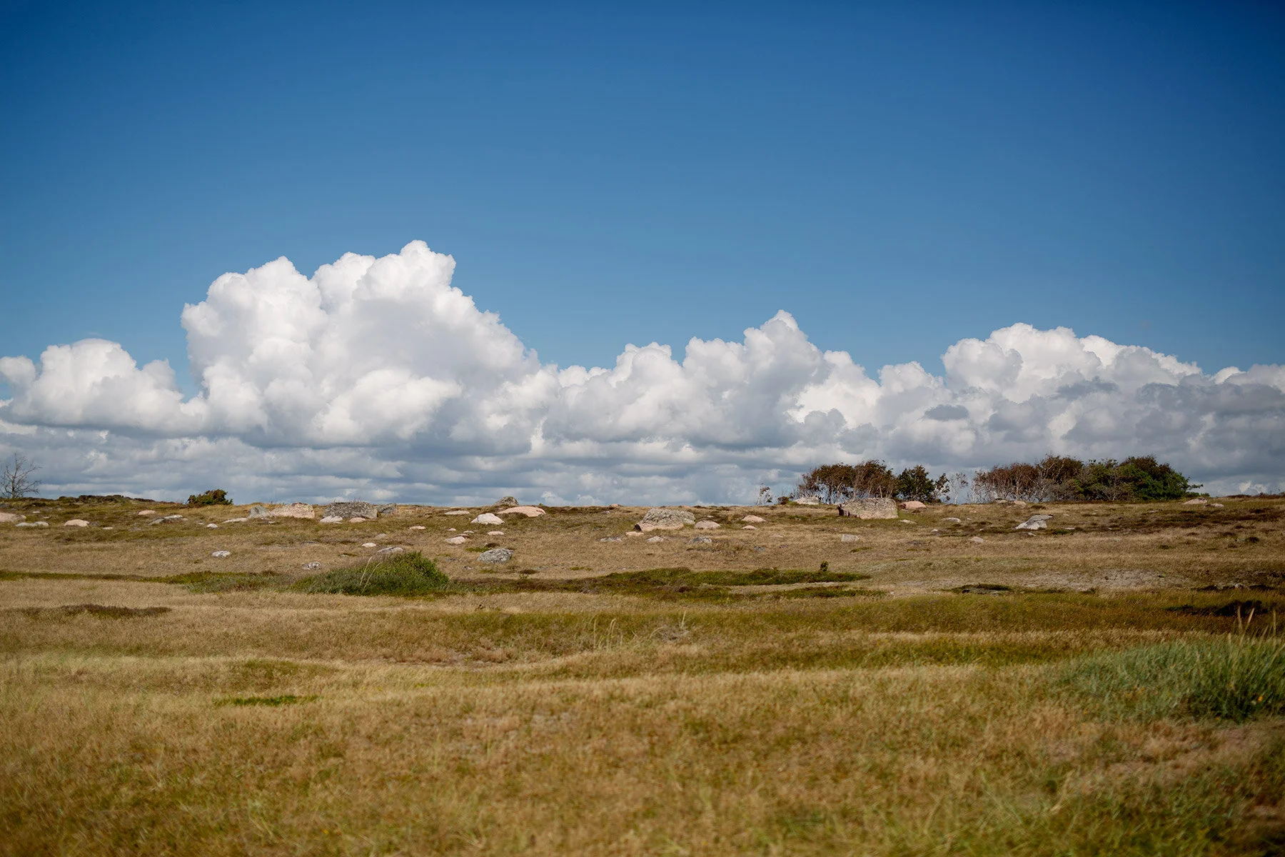 blogg-200723bale12.jpg