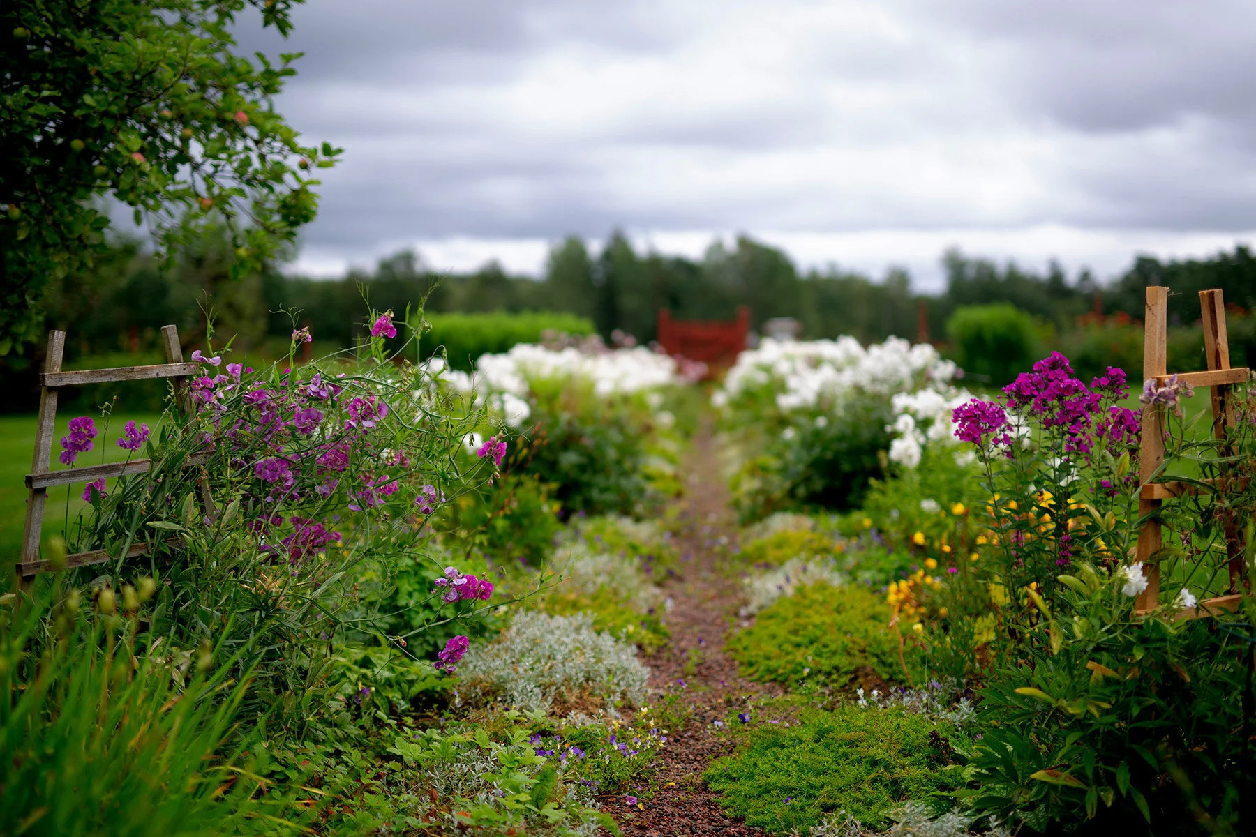 blogg-200729ullathord4.jpg