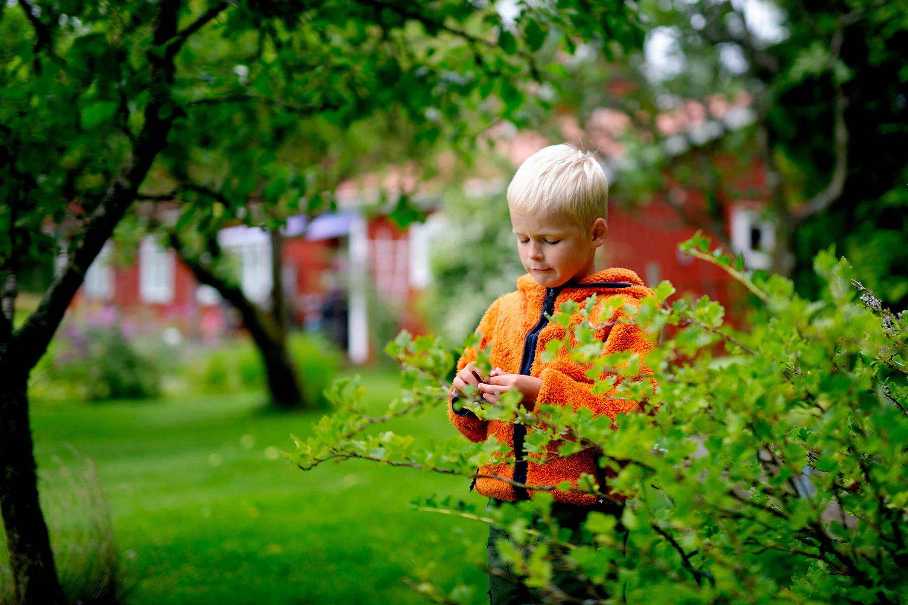 blogg-200729ullathord6.jpg