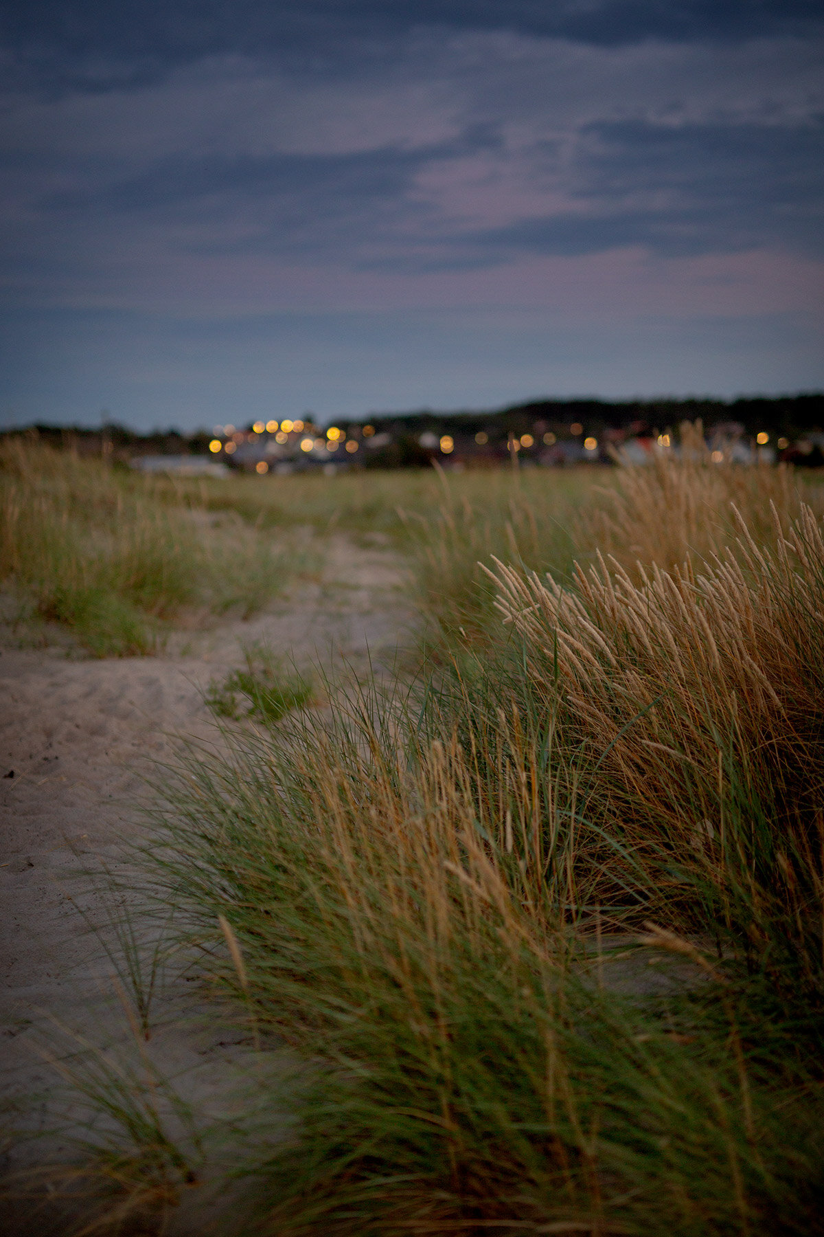 blogg-200806balekvall40.jpg