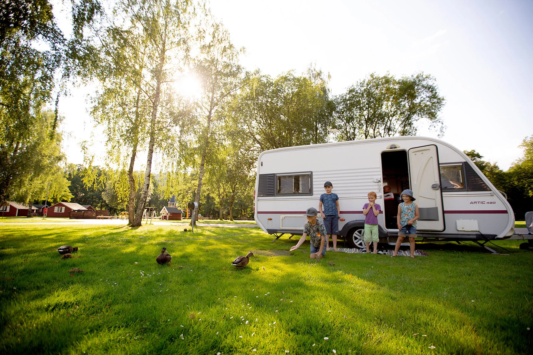 Campa på Saltemad