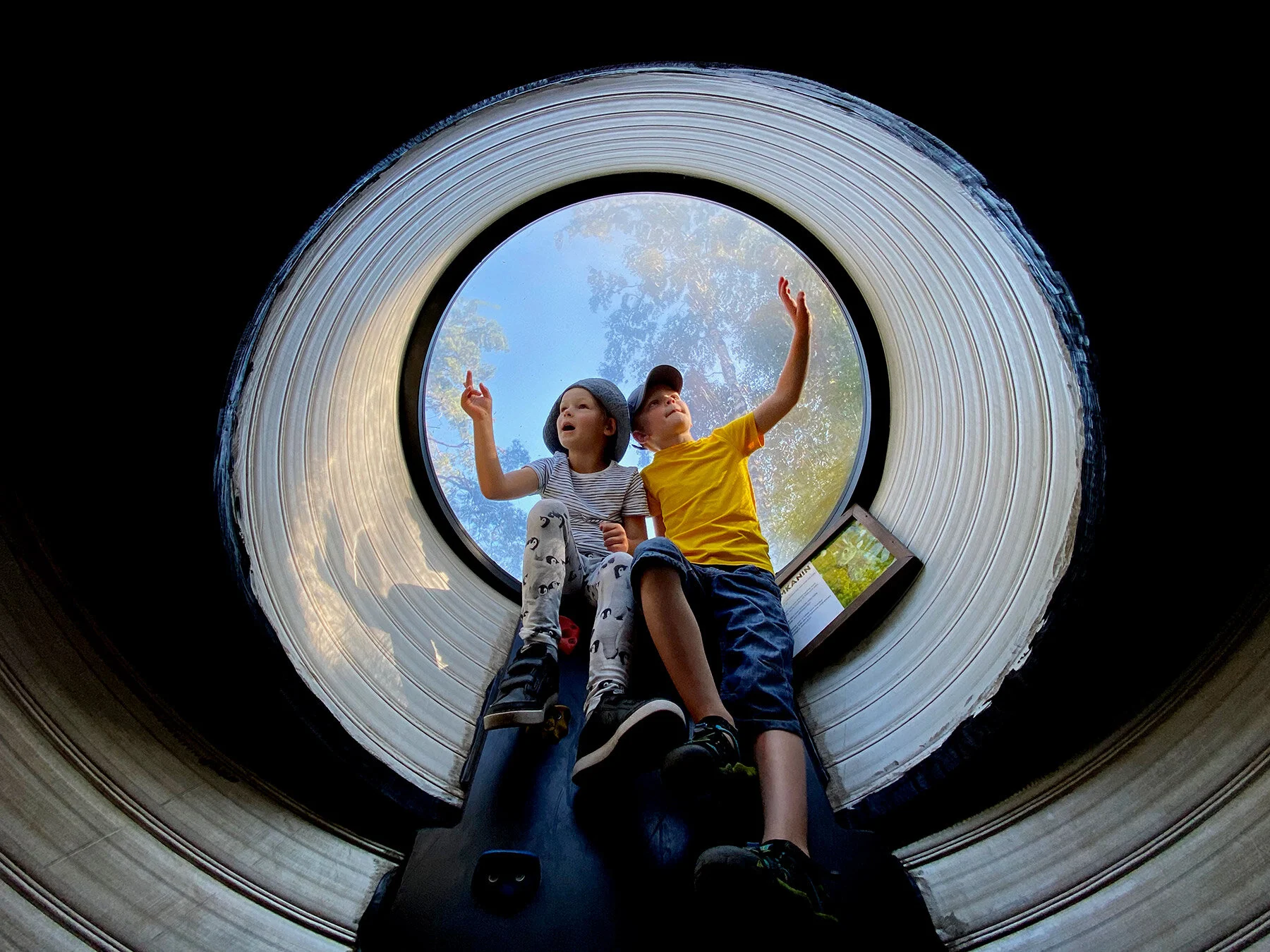 blogg-200814borasdjurparkmobil3.jpg