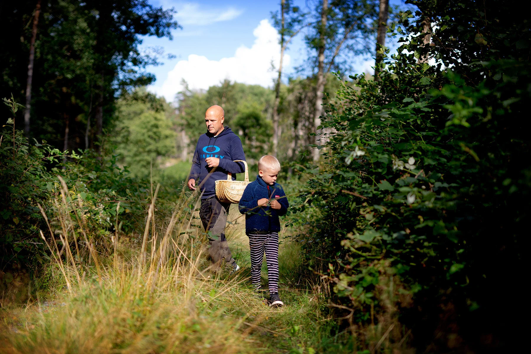 blogg-200830svampskog1.jpg
