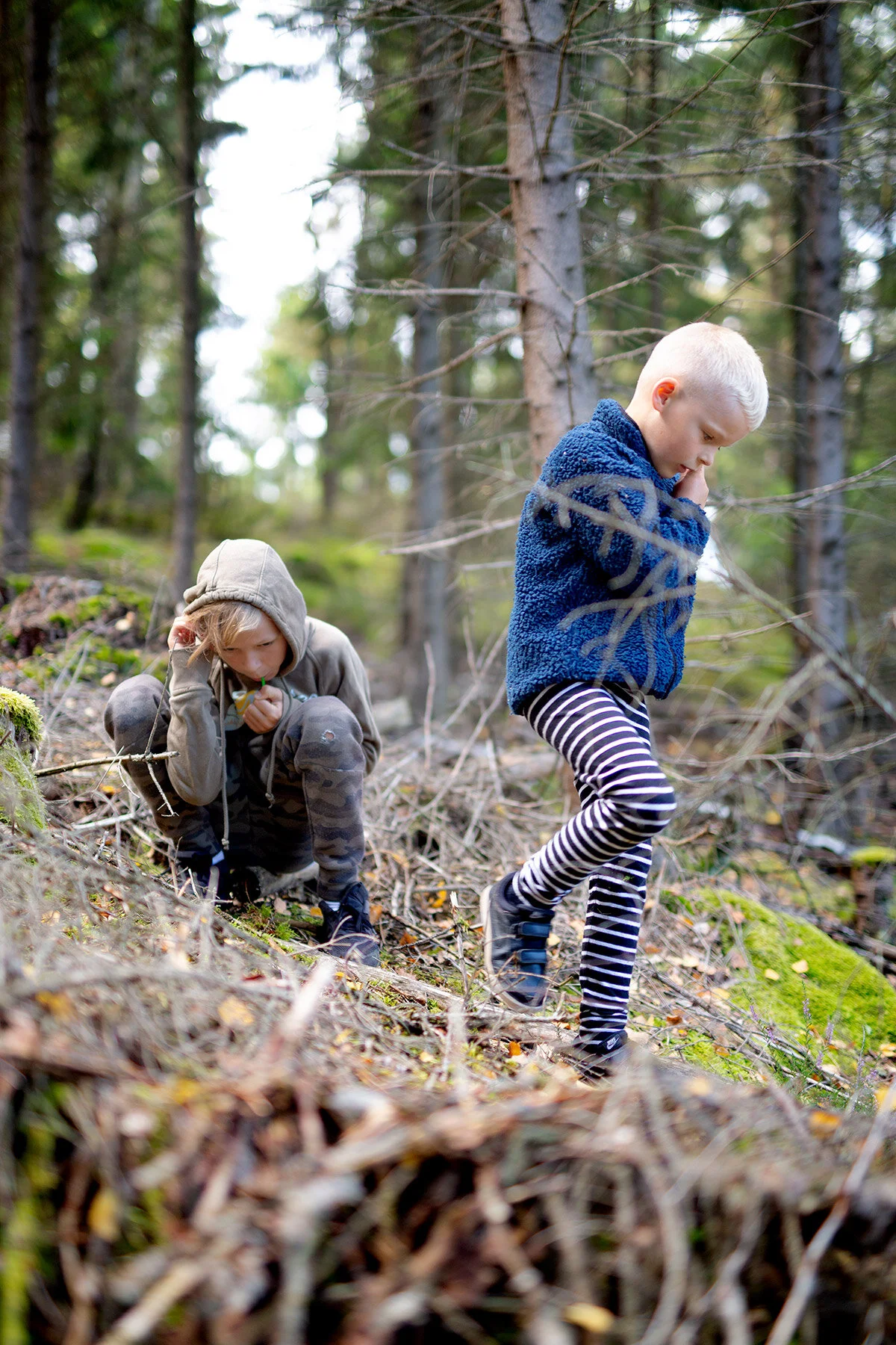 blogg-200830svampskog5.jpg