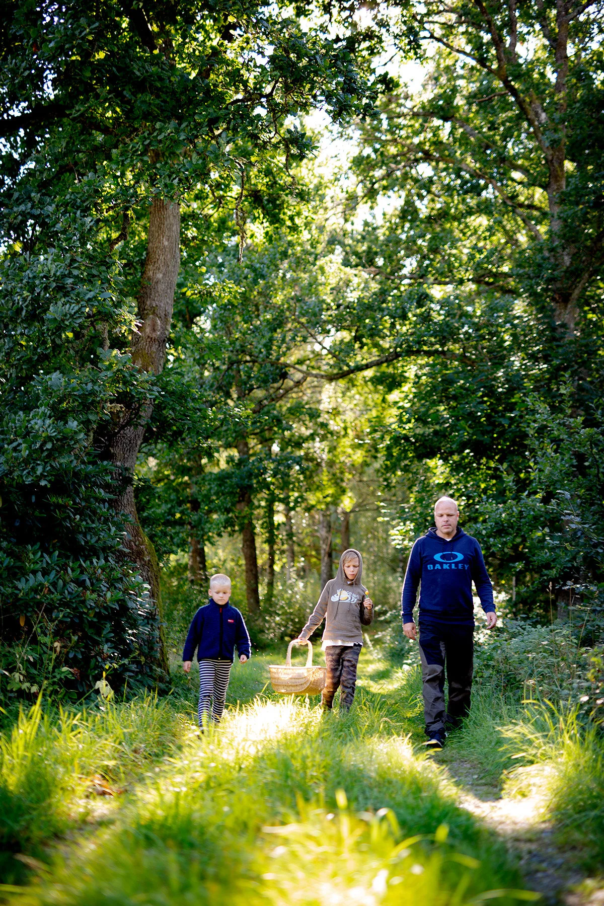 blogg-200830svampskog3.jpg