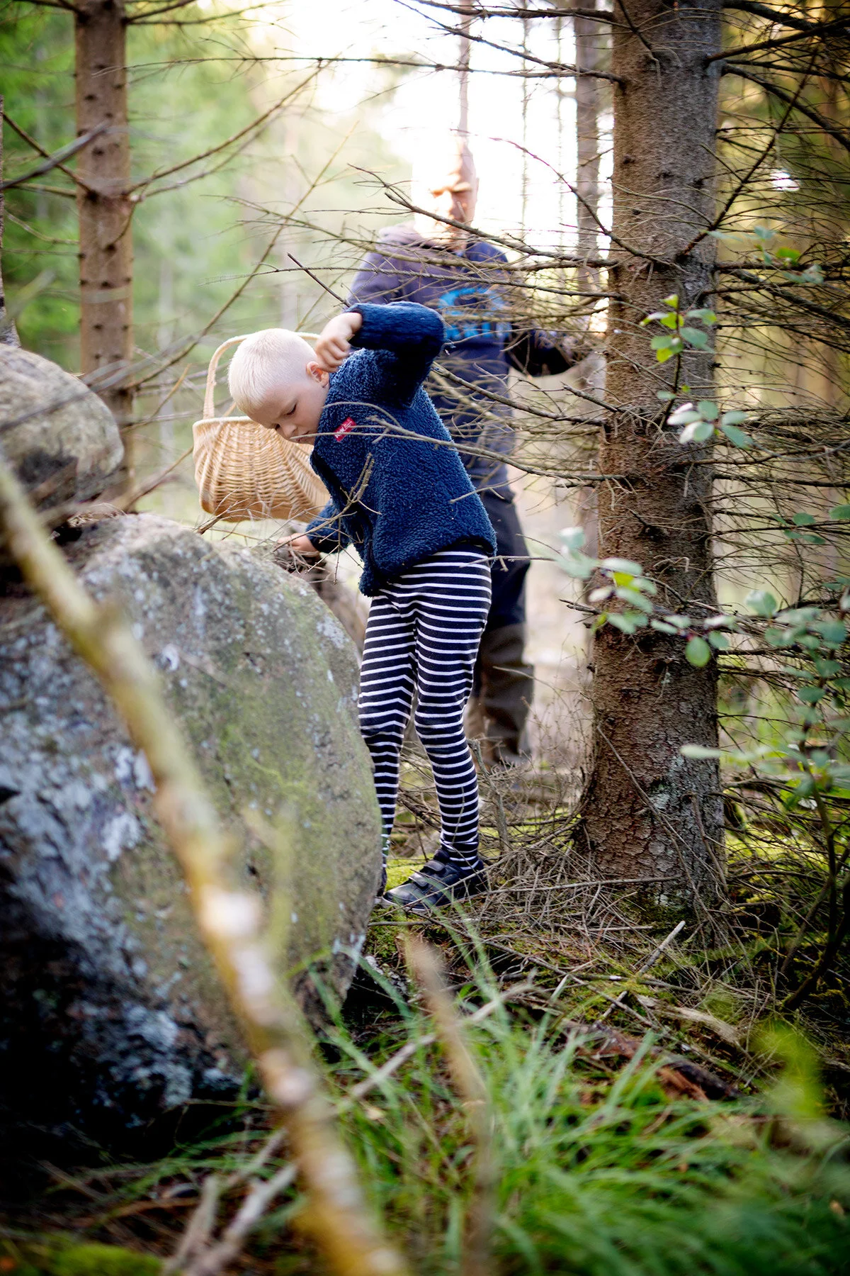 blogg-200830svampskog7.jpg