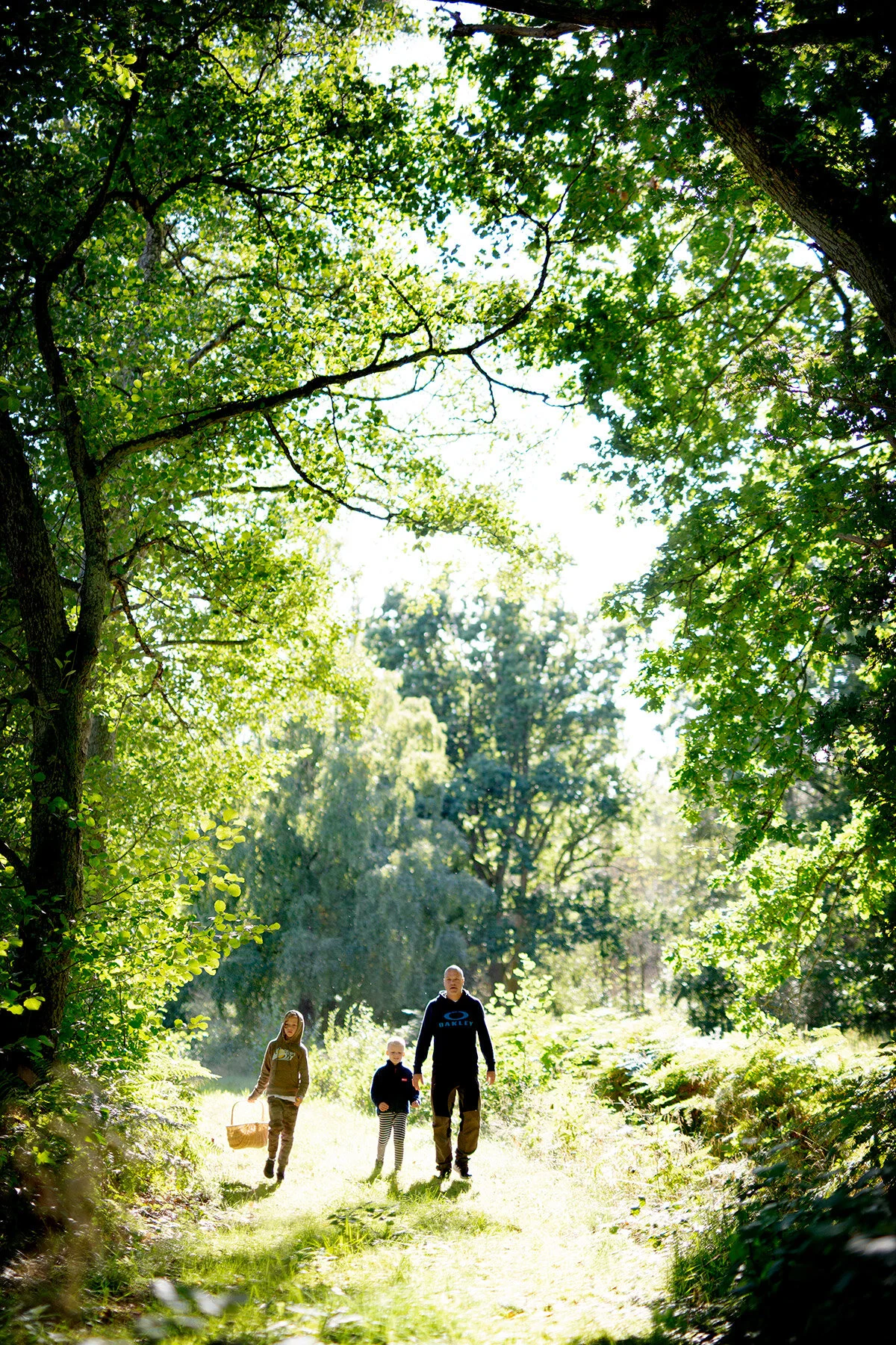 blogg-200830svampskog9.jpg