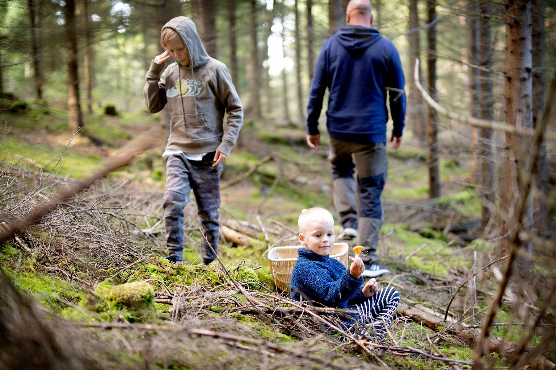 blogg-200830svampskog12.jpg