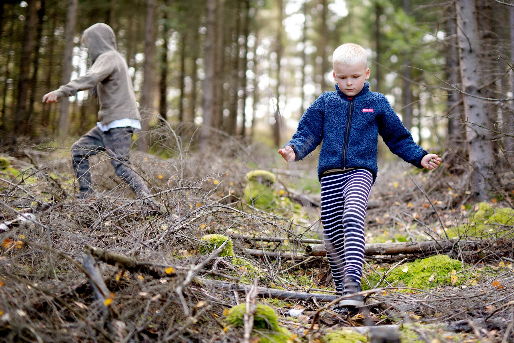 blogg-200830svampskog16.jpg