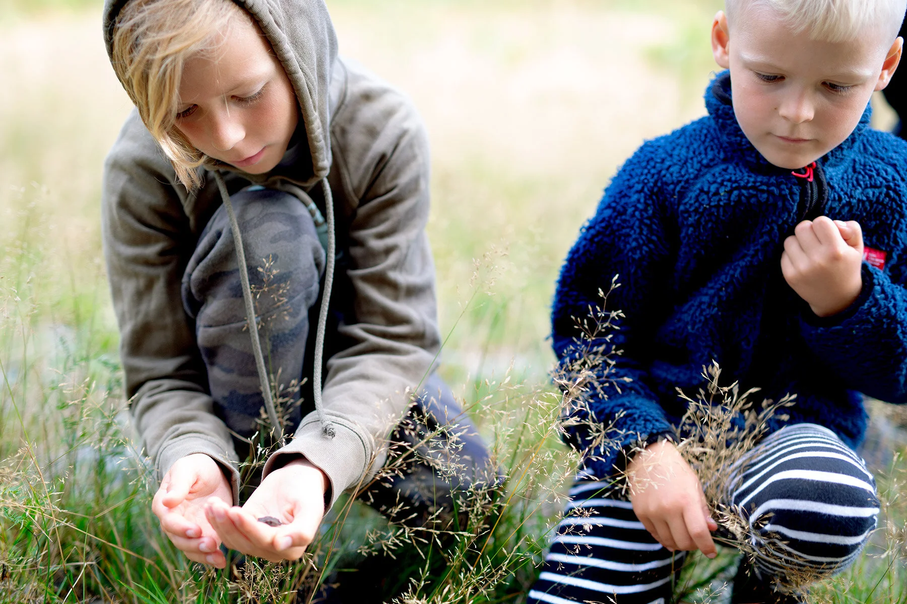 blogg-200830svampskog18.jpg