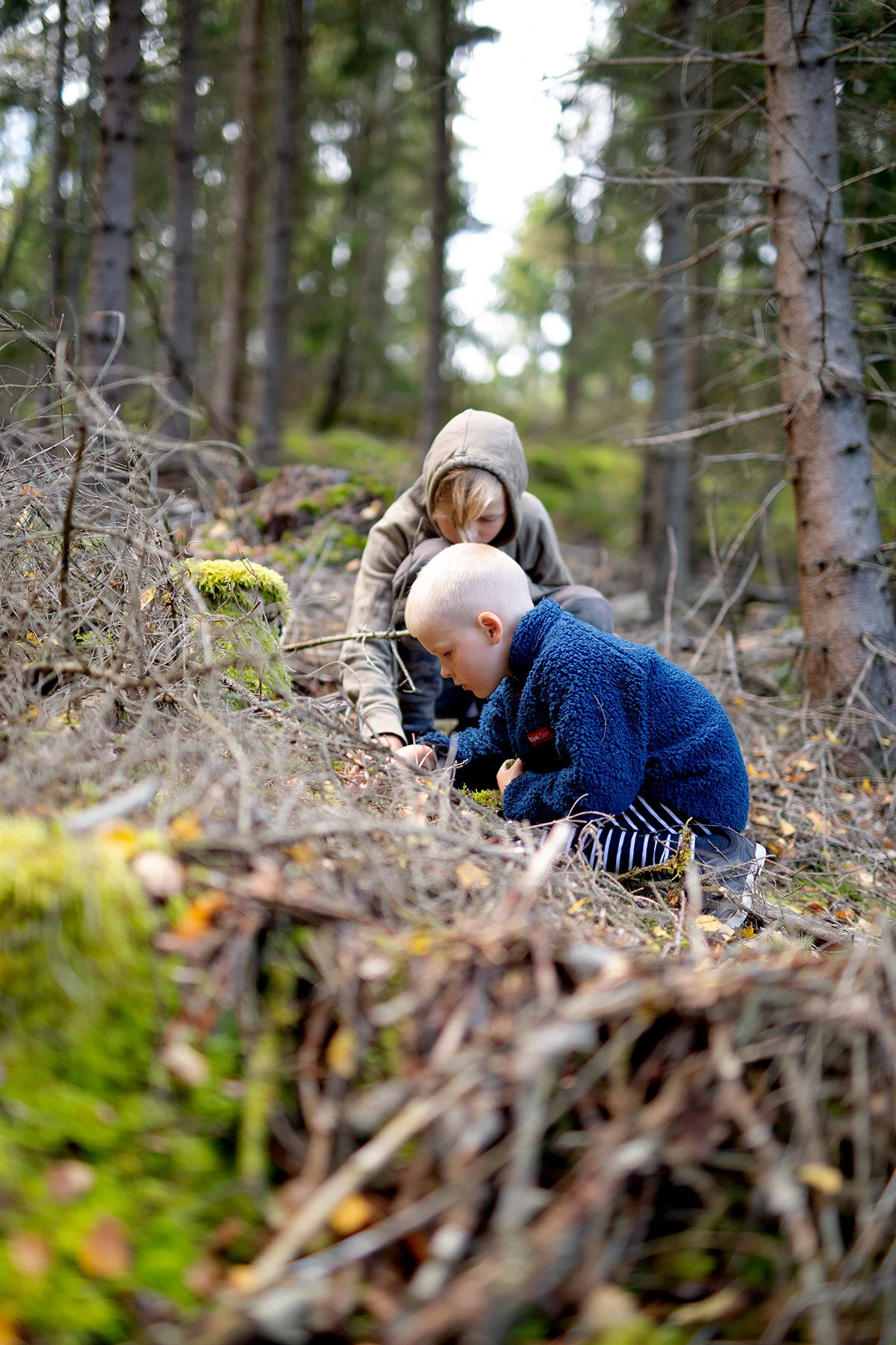 blogg-200830svampskog20.jpg