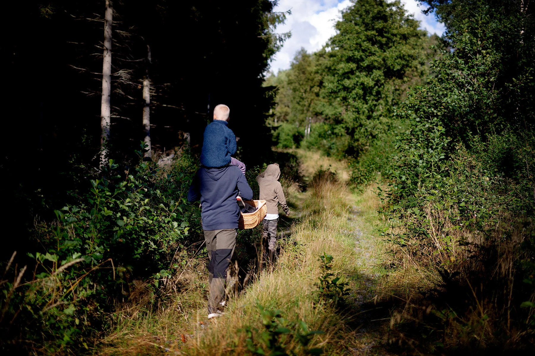 blogg-200830svampskog23.jpg