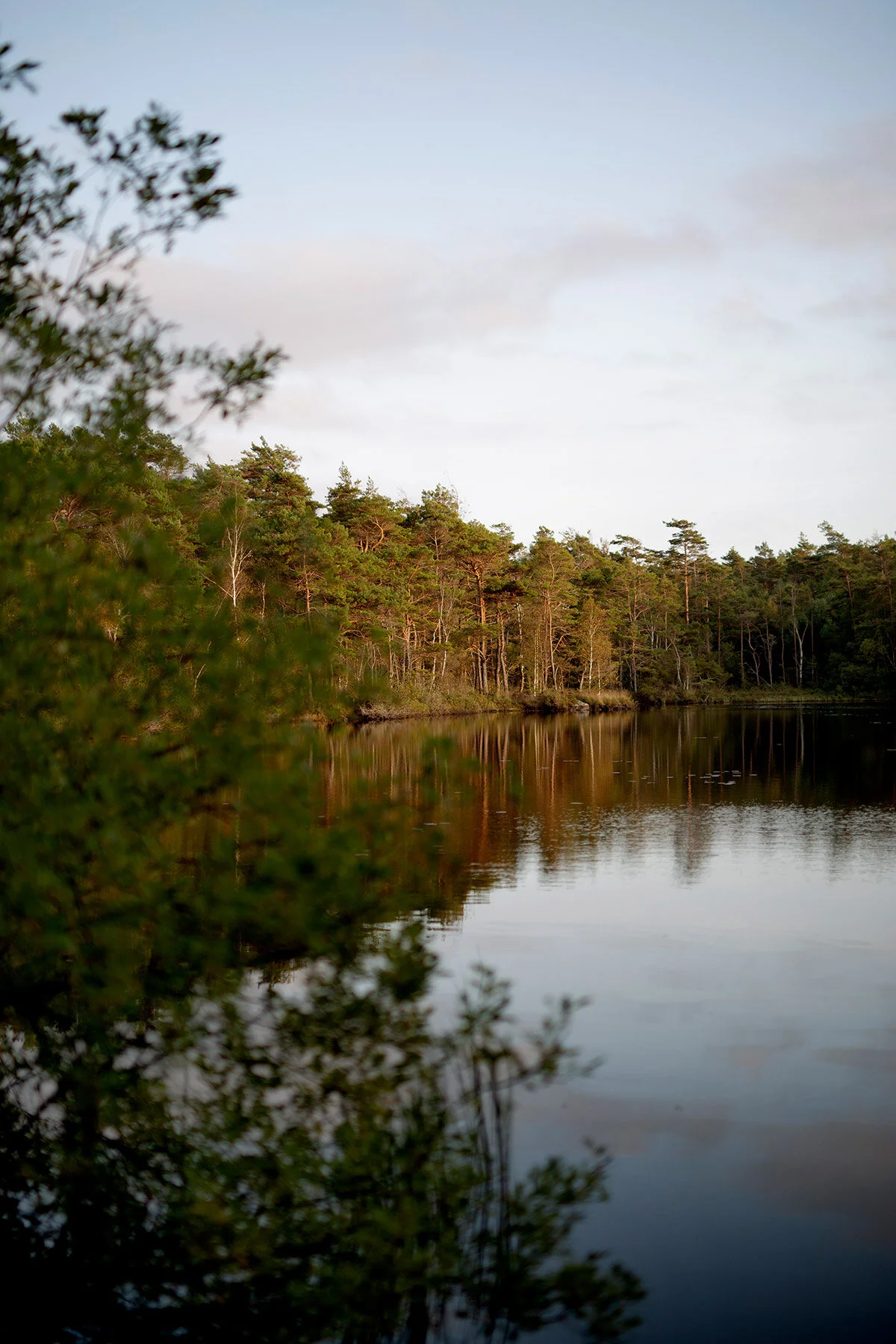 blogg-200918kroksmossefisk2.jpg