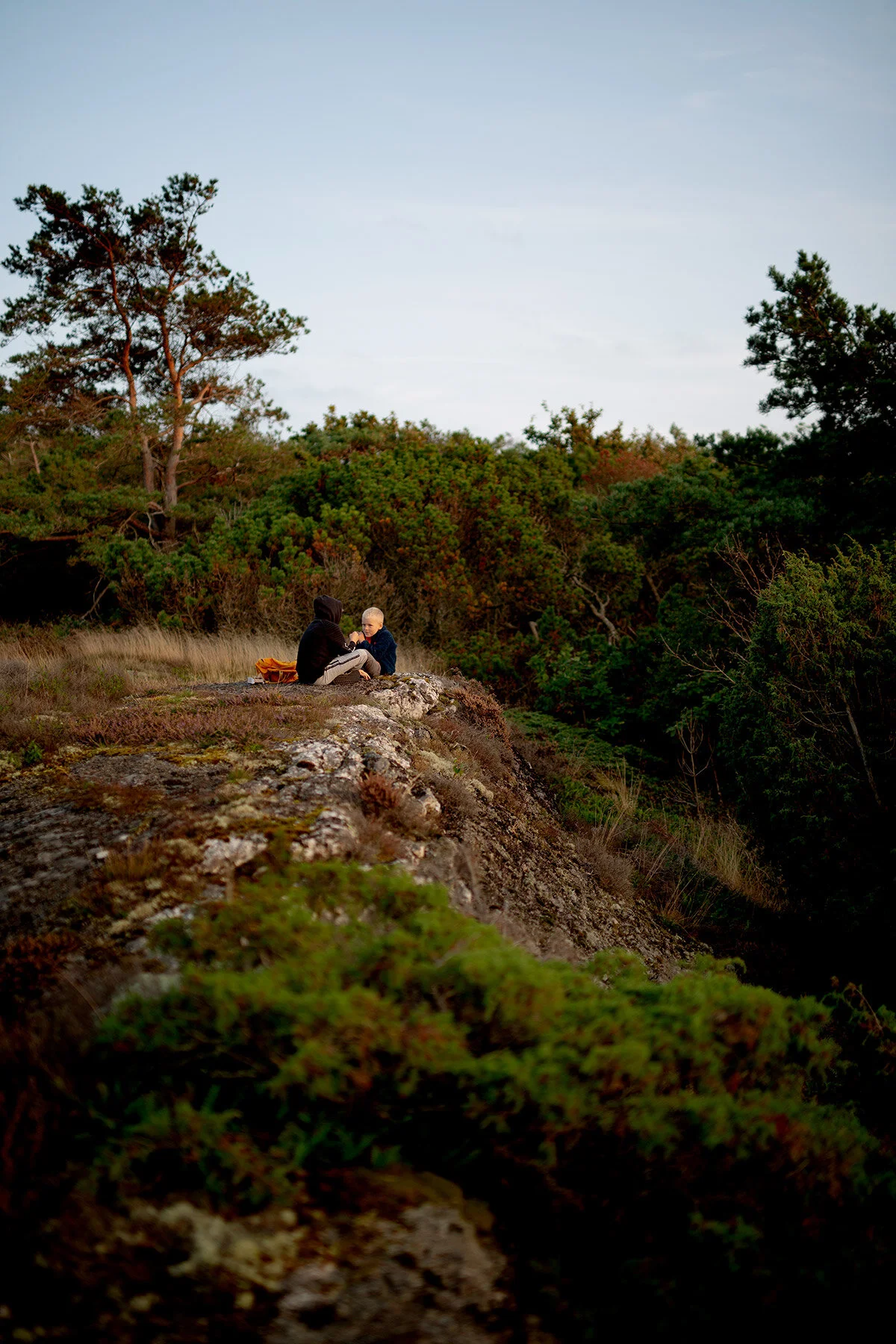 blogg-200918fikagetaryggen13.jpg