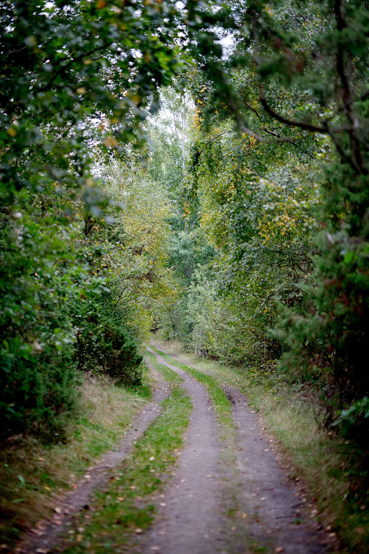 blogg-200920vikensanddamm4.jpg
