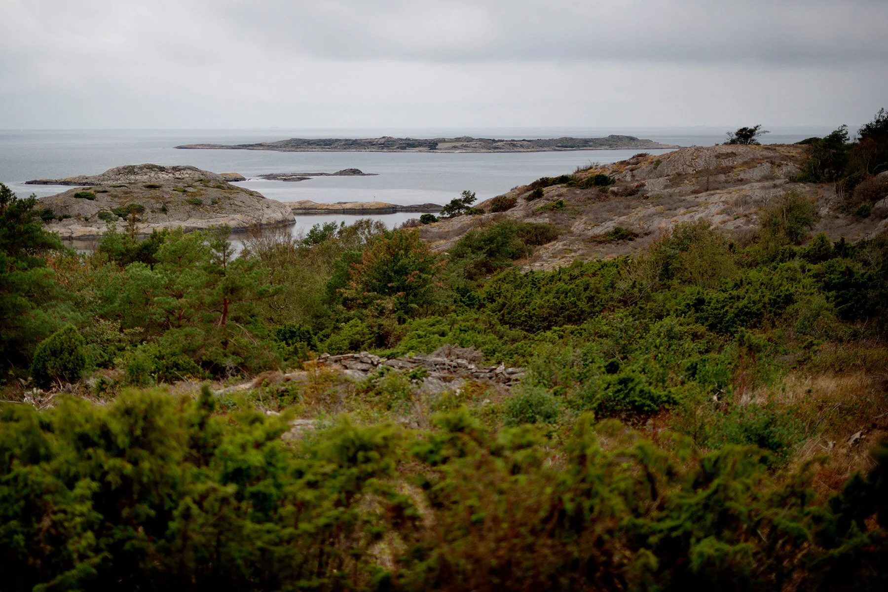 blogg-200920vikensanddamm7.jpg