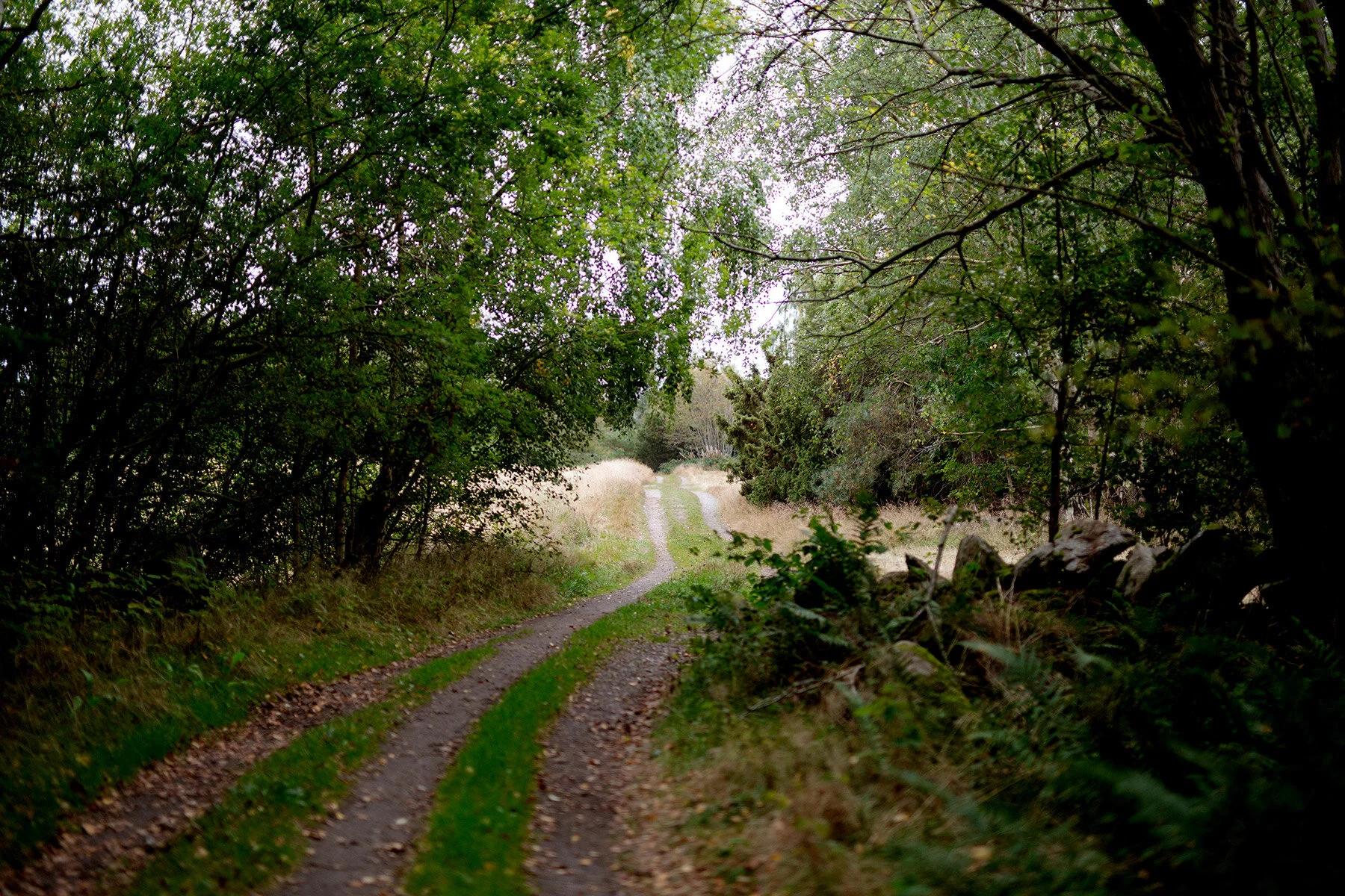 blogg-200920vikensanddamm6.jpg