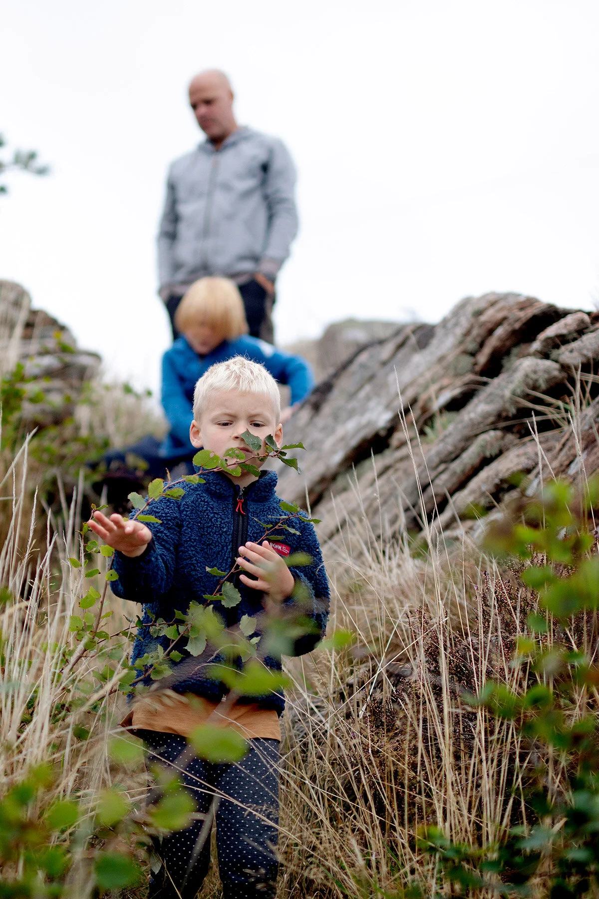 blogg-200920vikensanddamm20.jpg