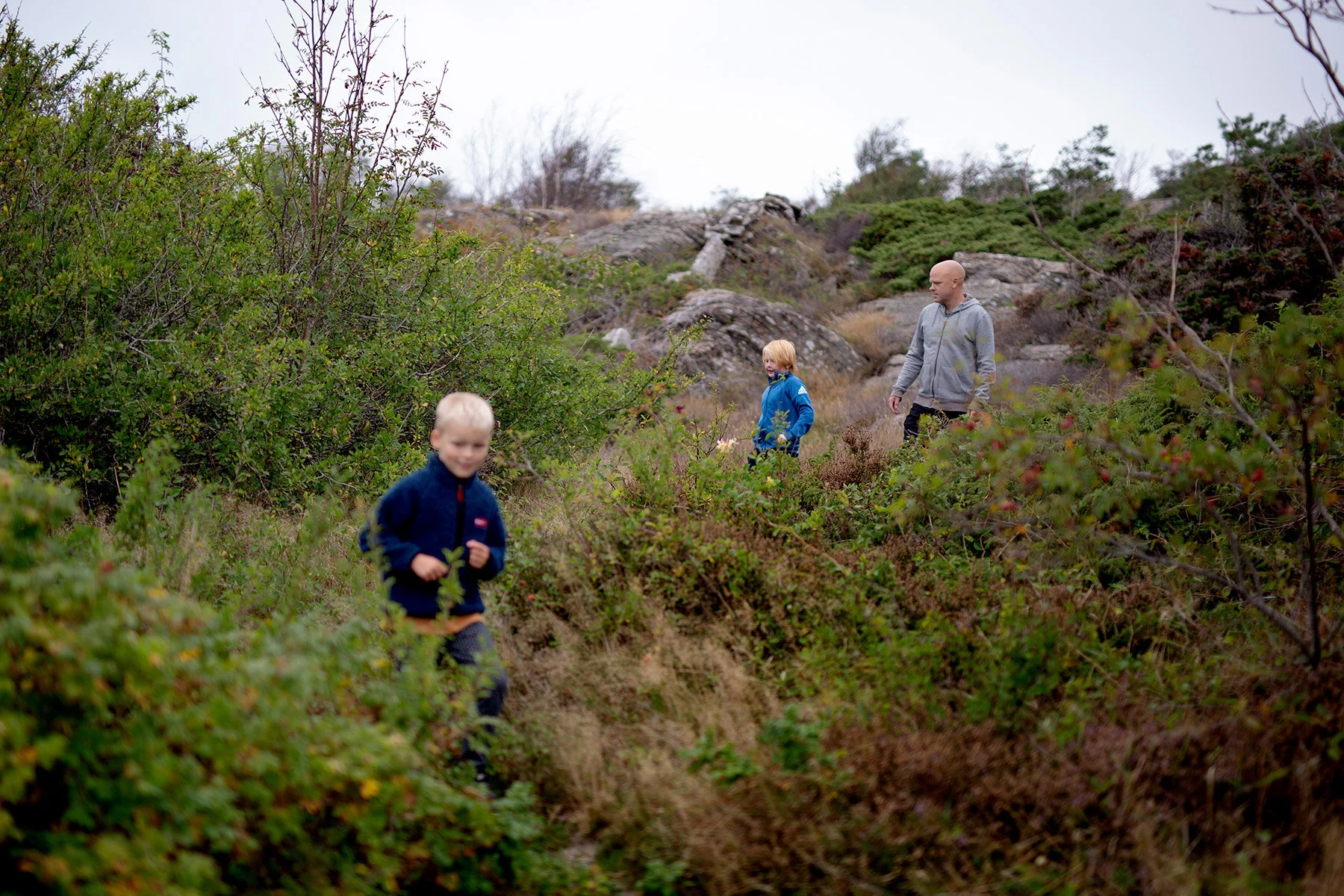 blogg-200920vikensanddamm21.jpg