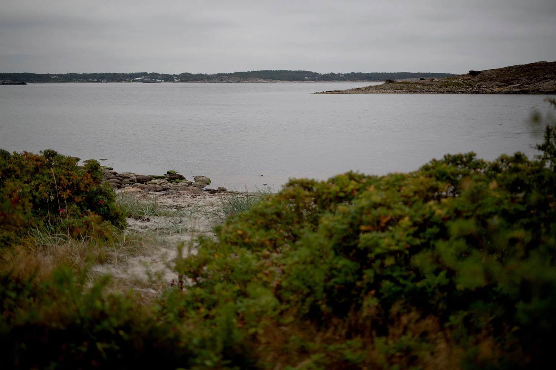 blogg-200920vikensanddamm22.jpg